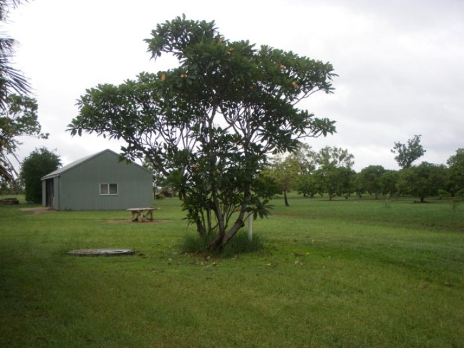 240 Golding Road, Acacia Hills NT 0822, Acacia Hills - Thumbnail 2