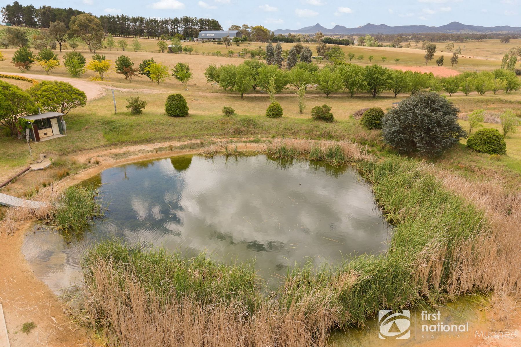 7 Boronia Road, Rylstone NSW 2849, Rylstone - Thumbnail 3