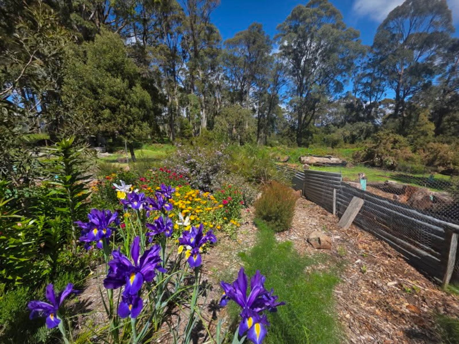 Mole Creek TAS 7304, Mole Creek - Thumbnail 3