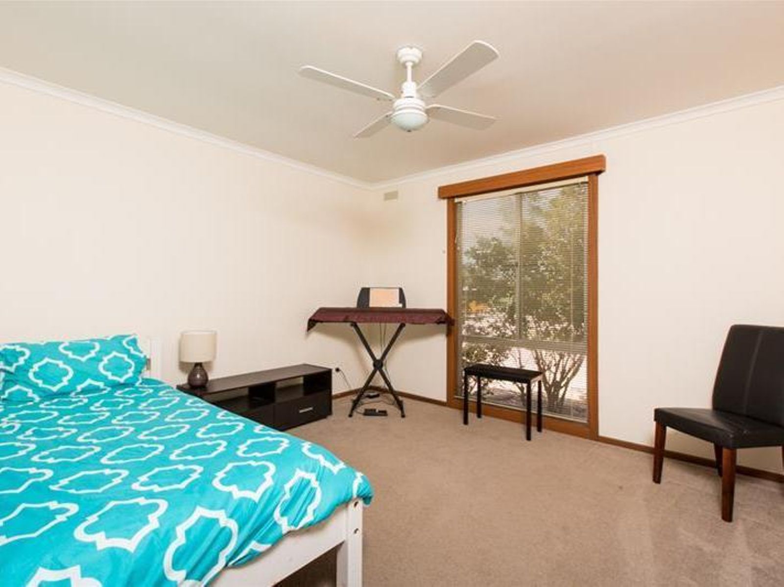 141 Irymple Avenue, Nichols Point - Thumbnail 8