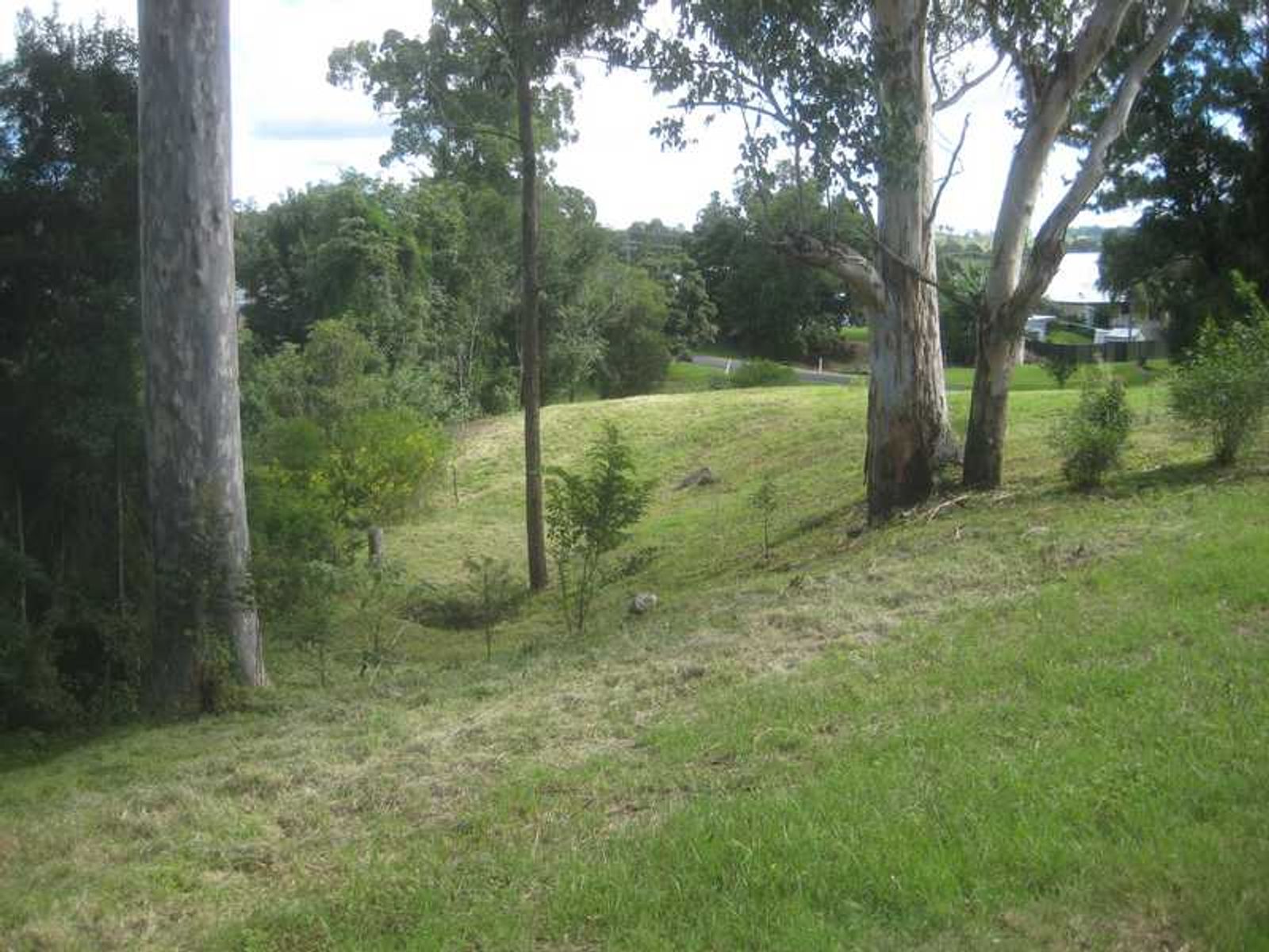 Lot 3/61 Lot 3 / 61 Tooloom Street, Mallanganee - Thumbnail 7