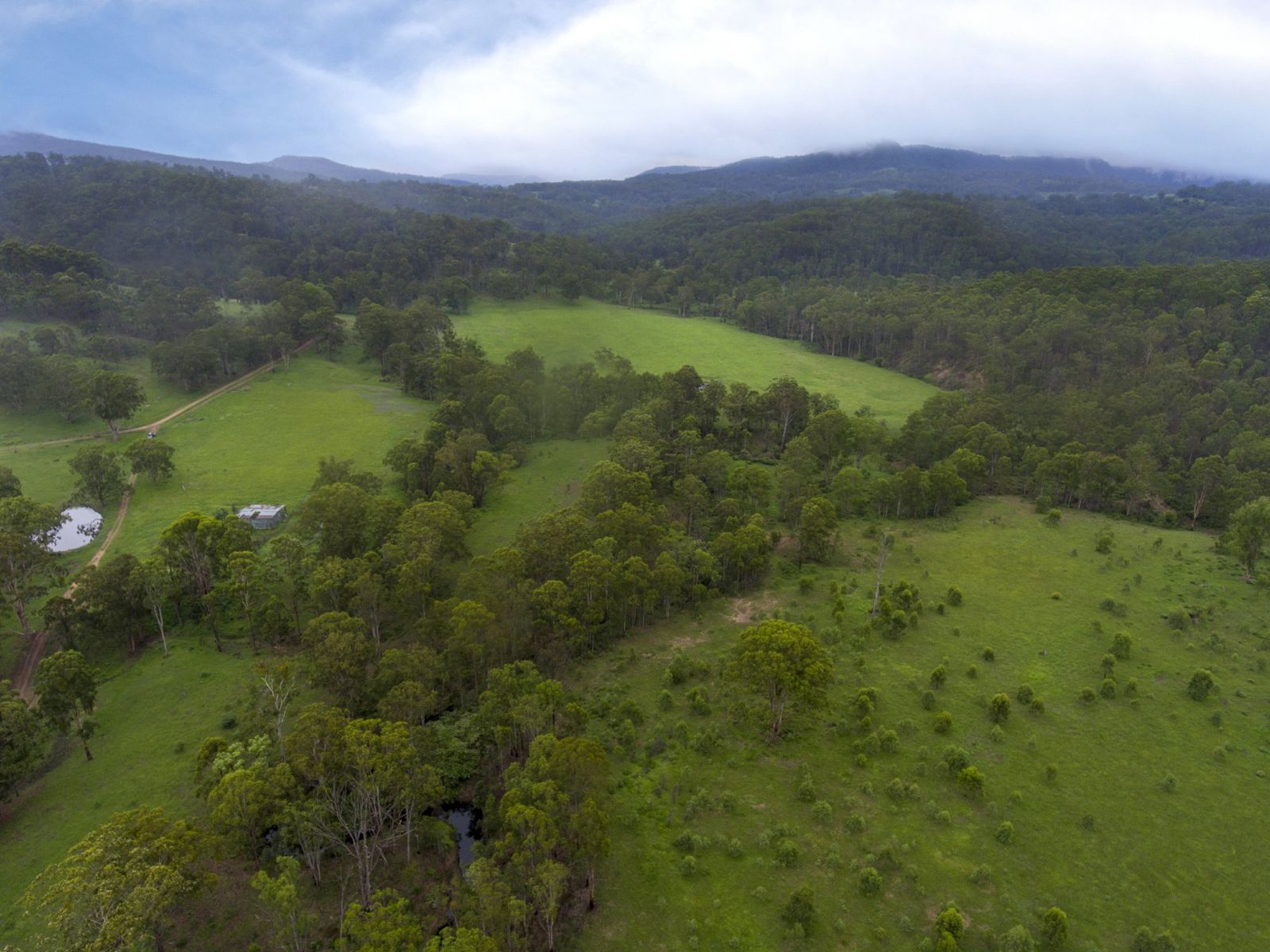 344 Flagstone Road, Legume, NSW 2476, Legume - Thumbnail 8