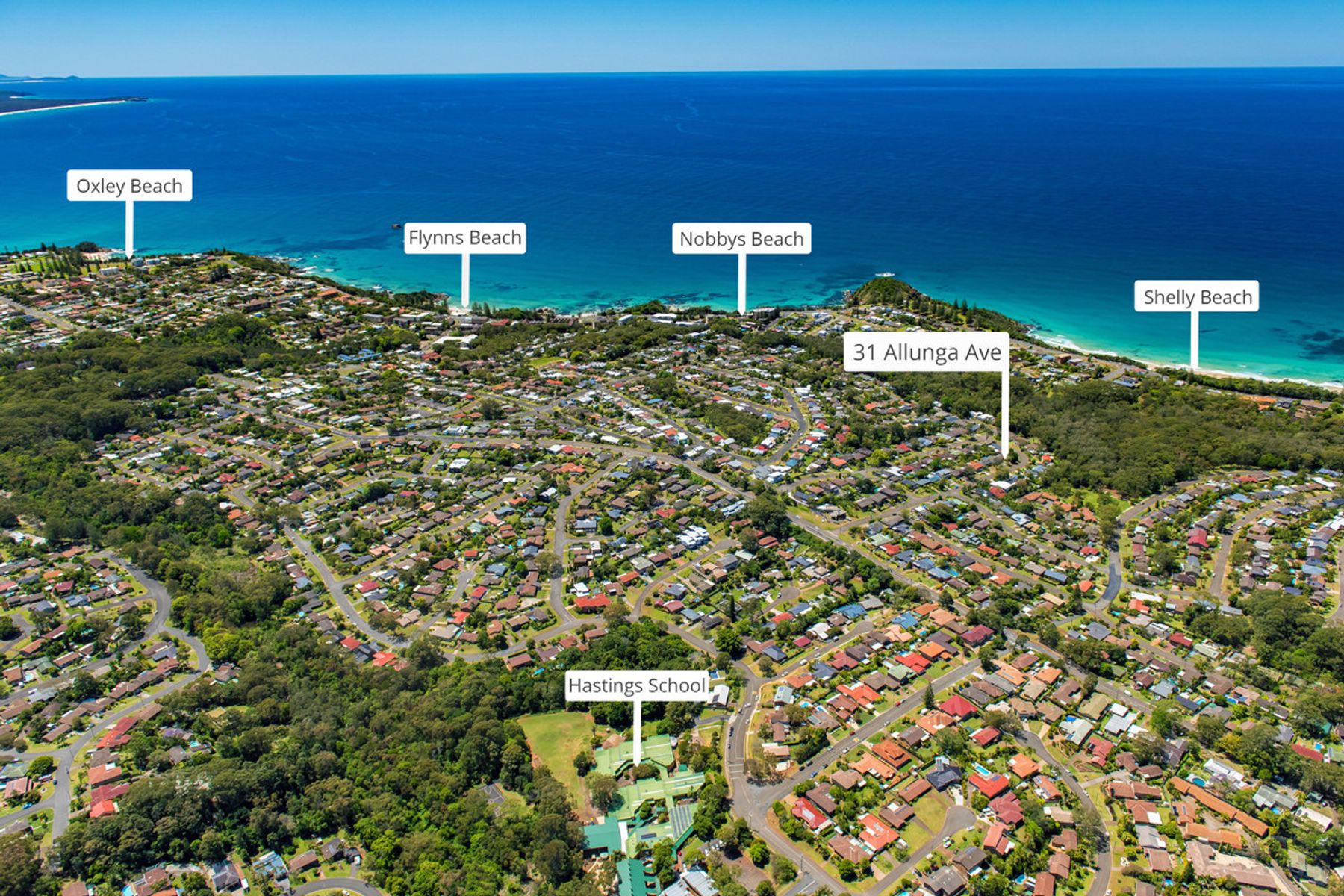 31 Allunga Avenue, Port Macquarie NSW 2444, Port Macquarie - Thumbnail 7