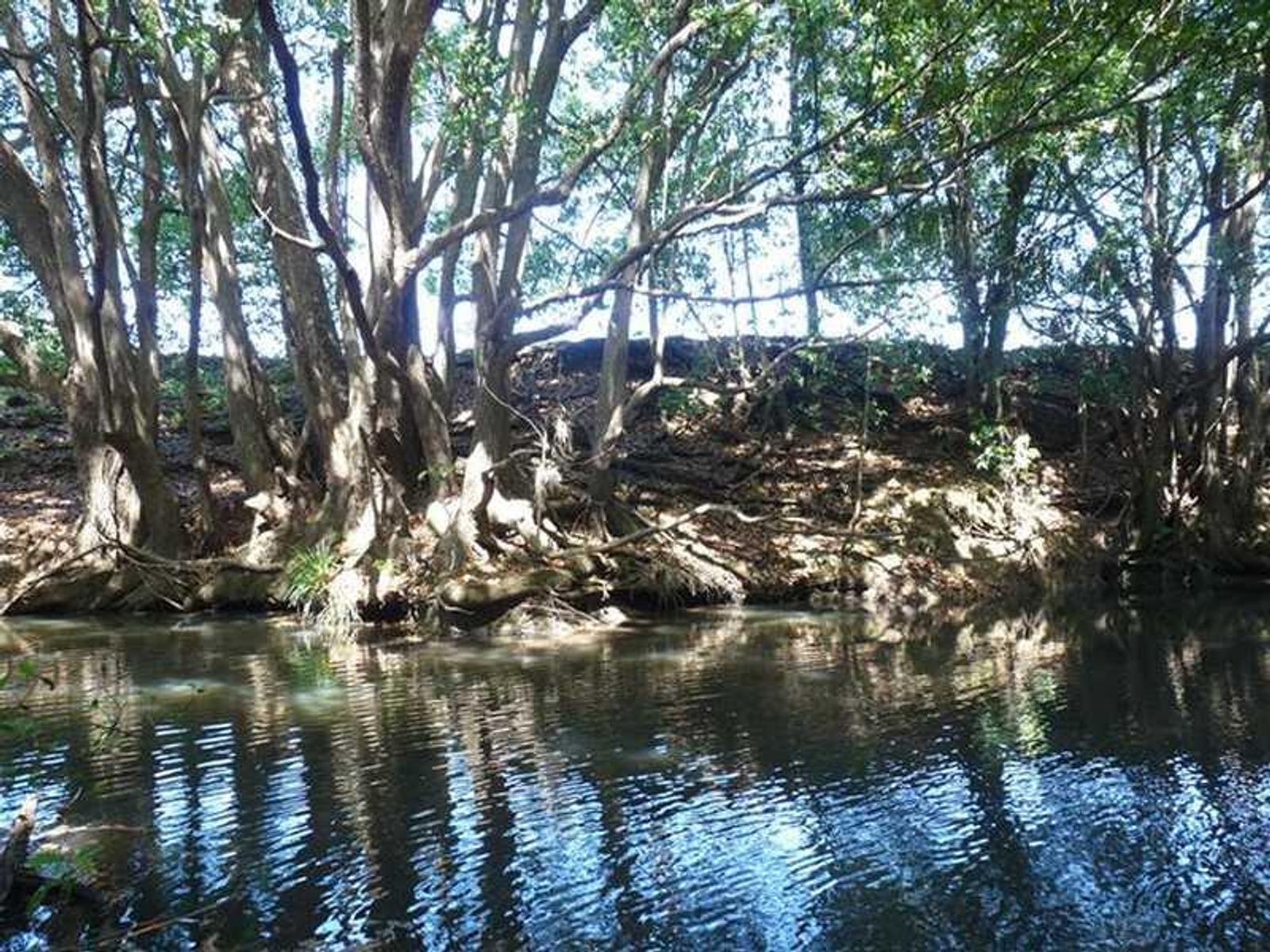 118 Arthur Road, Corndale - Thumbnail 5