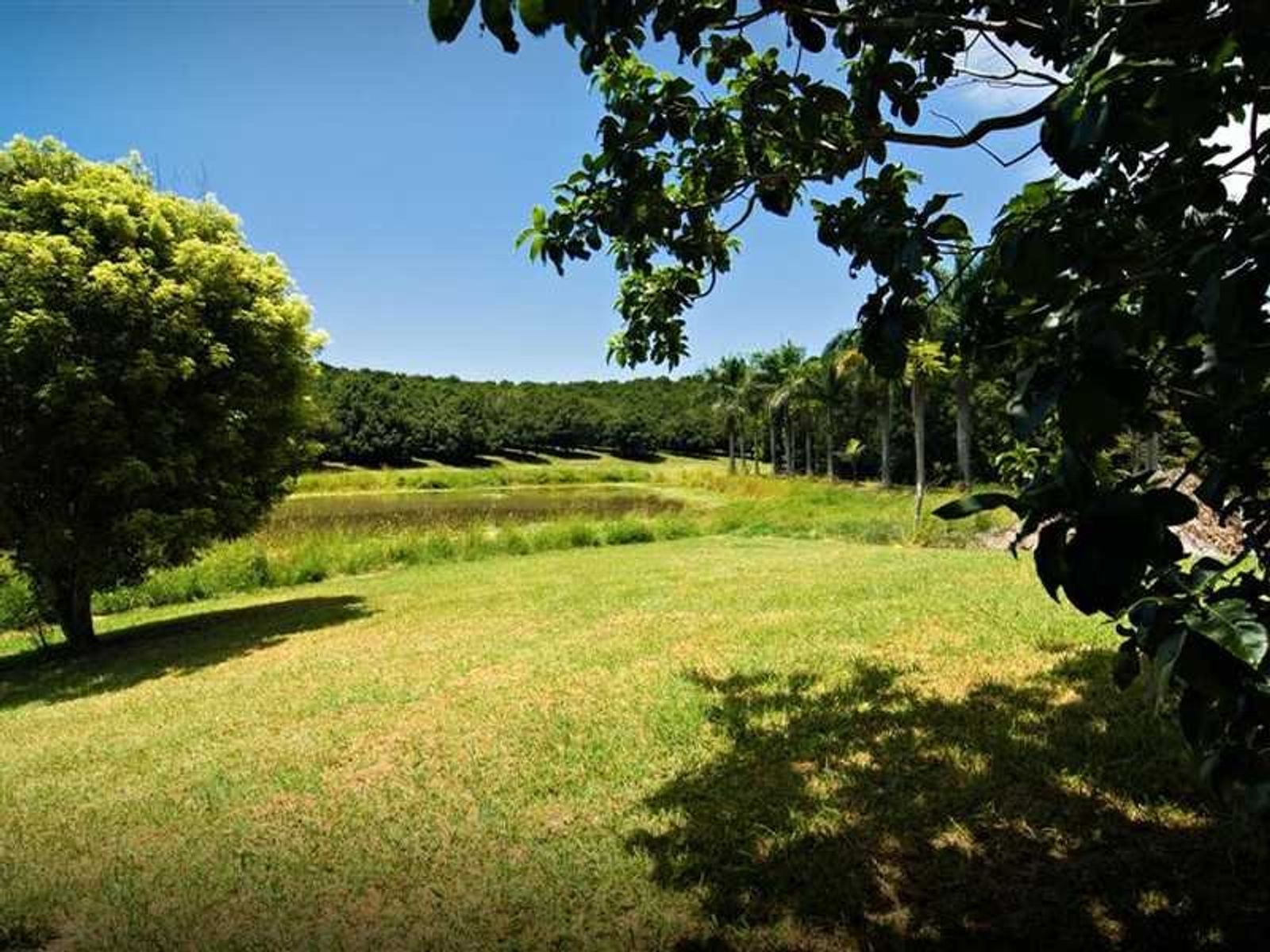 61 Jorgensens Lane, Brooklet - Thumbnail 5