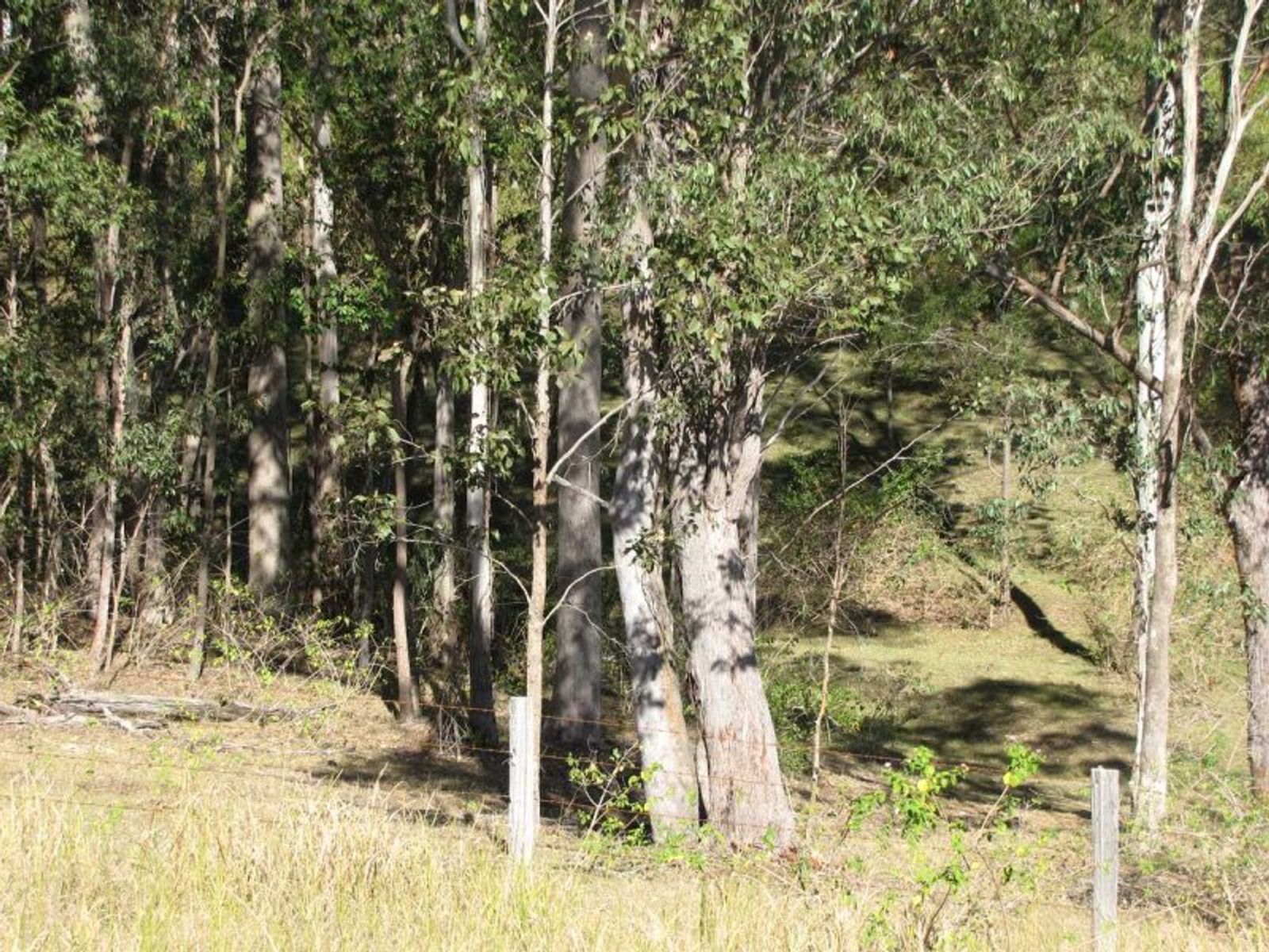 Dyraaba NSW 2470, Dyraaba - Thumbnail 4