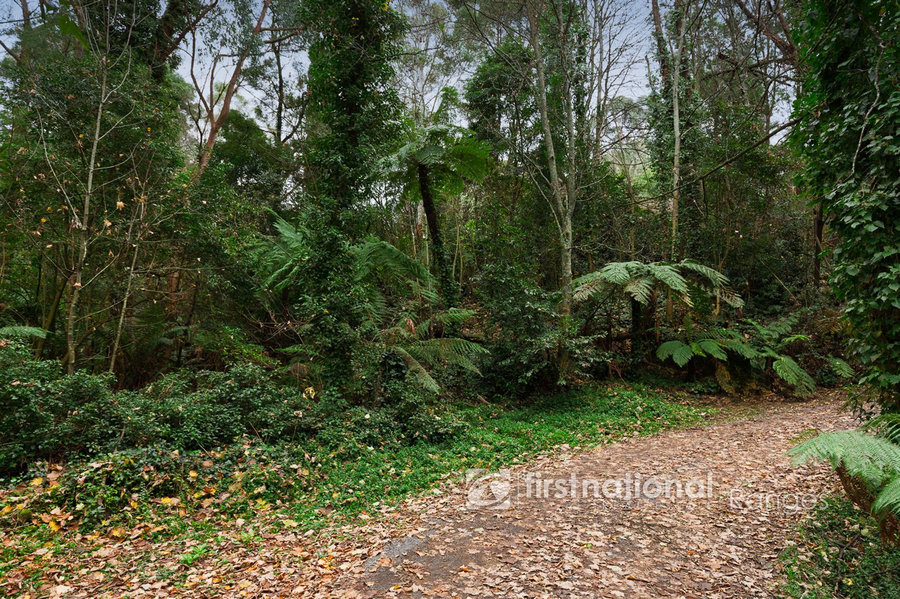 21-25 McAllister Road, Monbulk VIC 3793, Monbulk - Thumbnail 3