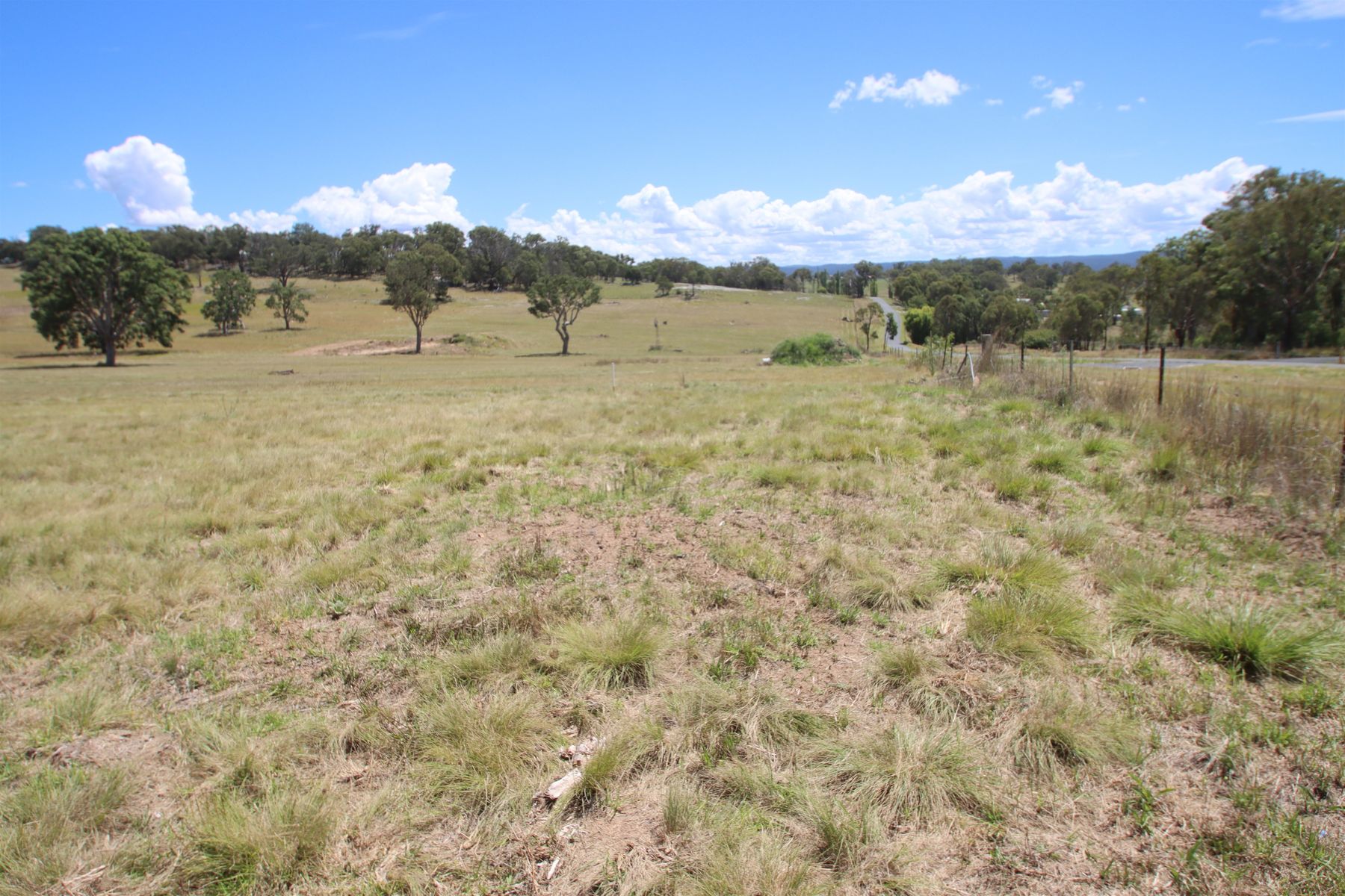 45 Neagles Lane, Tenterfield NSW 2372, Tenterfield - Thumbnail 4