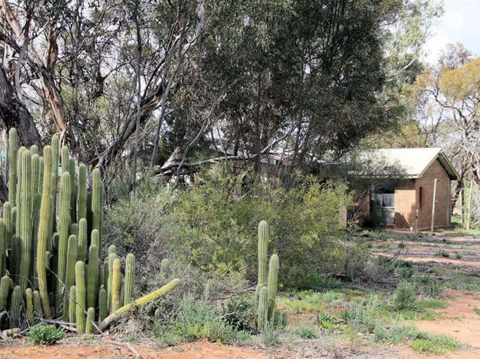 1 Reserve Road, Red Cliffs - Image 1