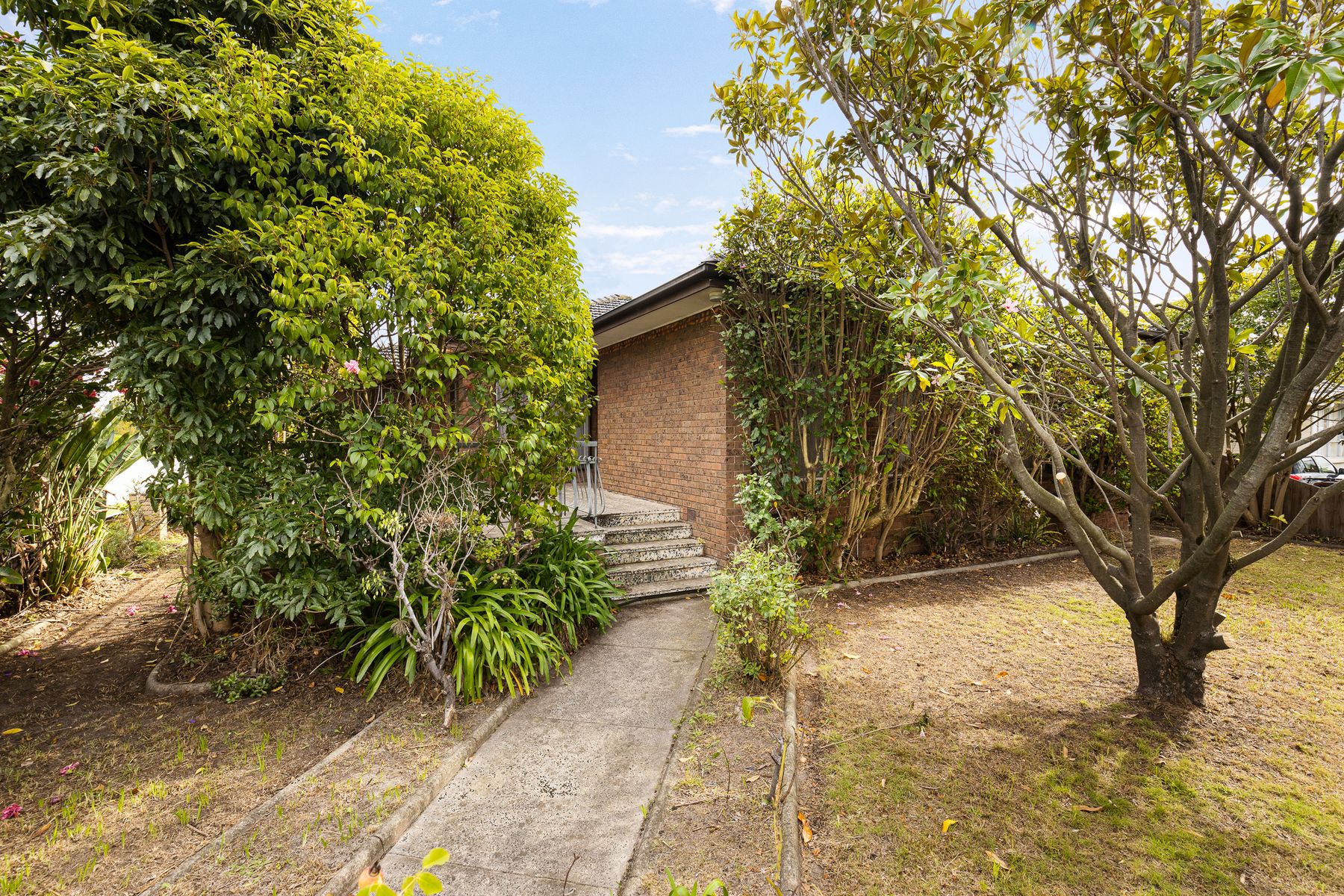 163 Wanda Street, Mulgrave, VIC 3170, Mulgrave - Thumbnail 4