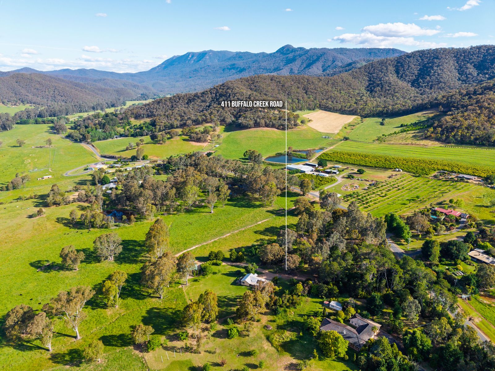 411 Buffalo Creek Road, Myrtleford VIC 3737, Myrtleford - Thumbnail 6