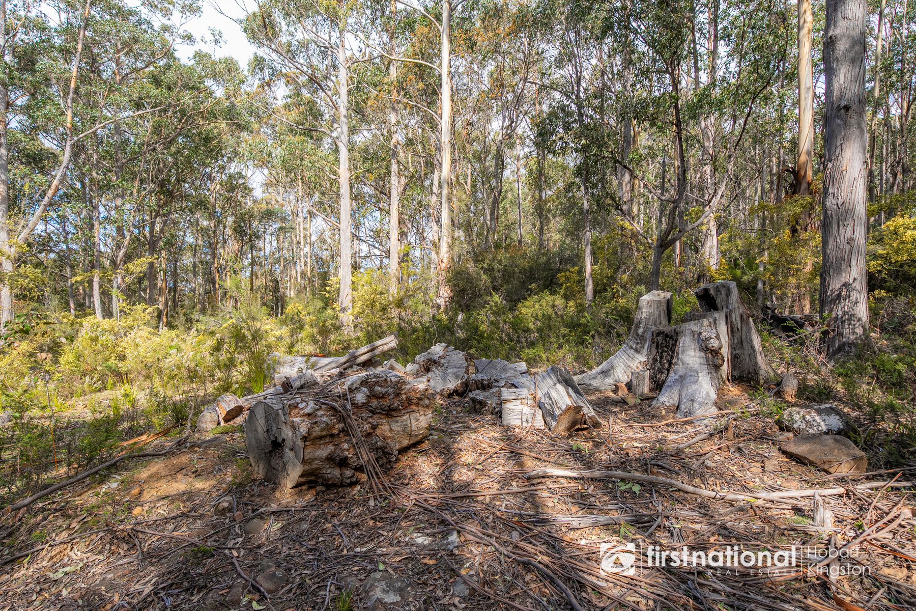 Krauses Road


Lower Longley TAS 7109, Lower Longley - Thumbnail 5