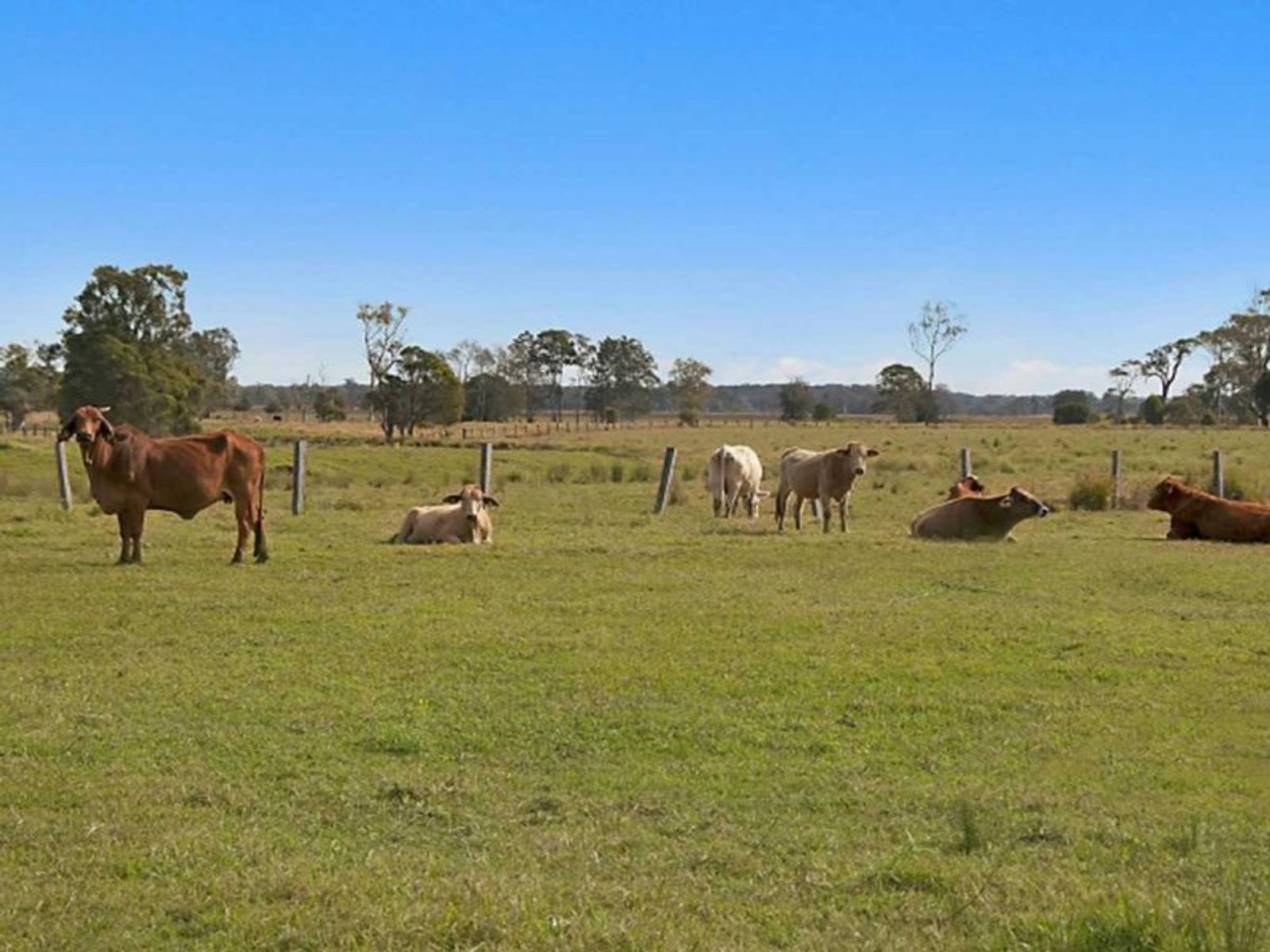 60 Reynolds Rd, Codrington - Thumbnail 5
