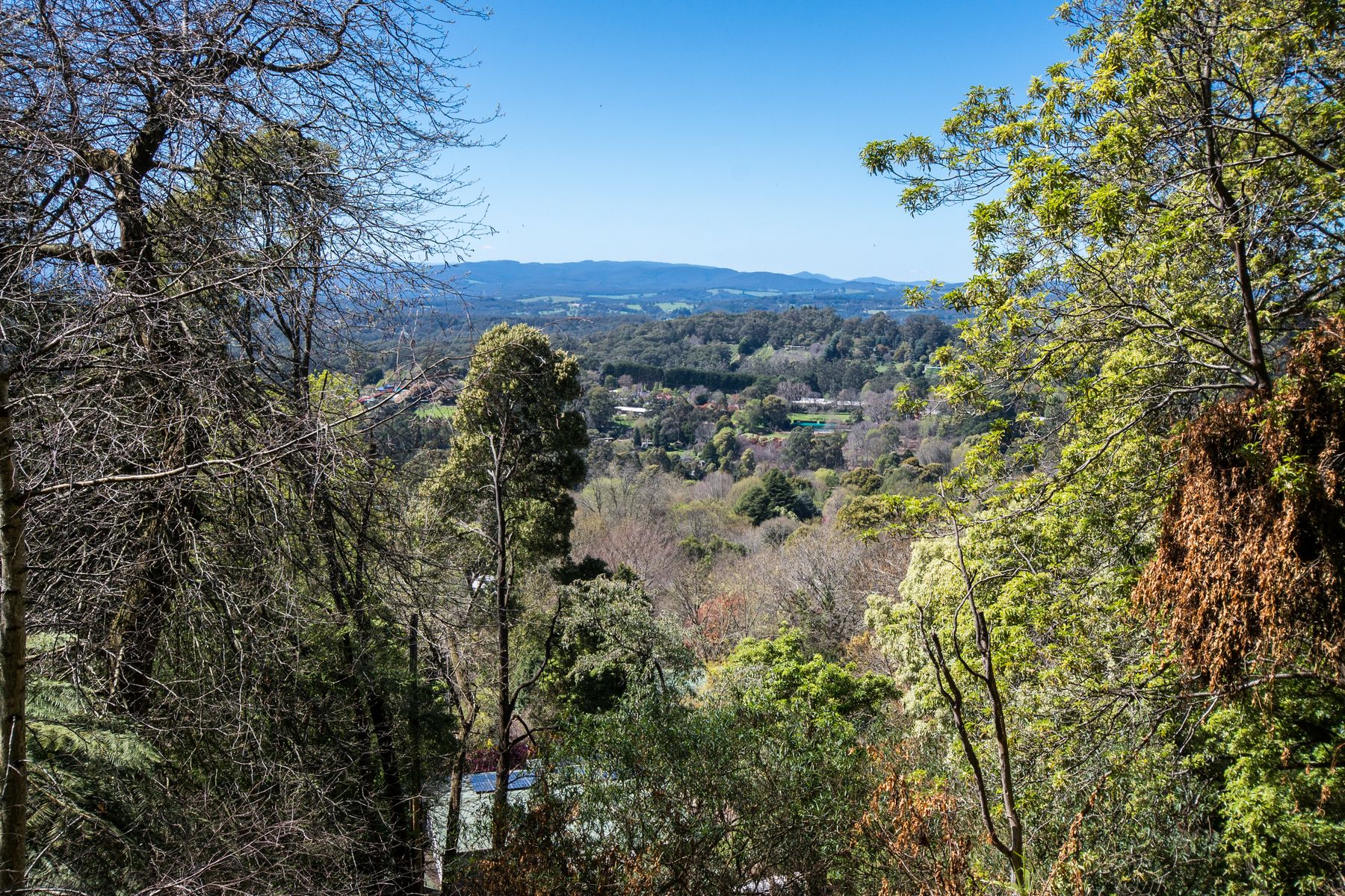 13 Dalmonte Grove, Kallista VIC 3791, Kallista - Thumbnail 7