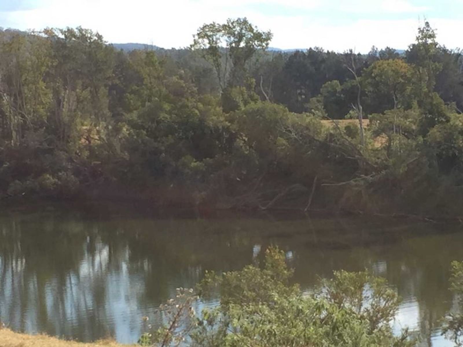968 Lots 1 & 46 Tabulam Rd-Jackson Flat Road, Tabulam - Thumbnail 4