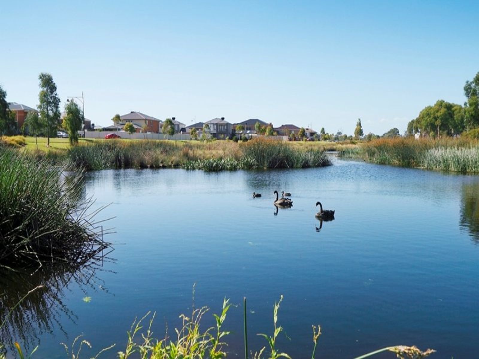 Lot 128 17 Broadleaf Court, Keysborough VIC 3173, Keysborough - Thumbnail 3