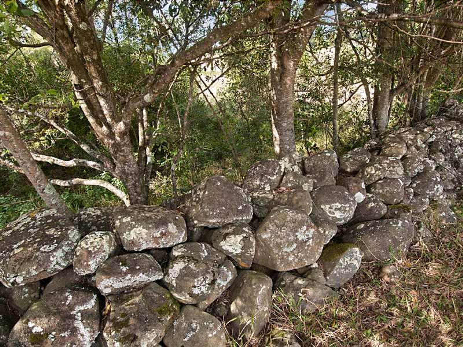 1281 Lismore Road, Clunes - Thumbnail 7