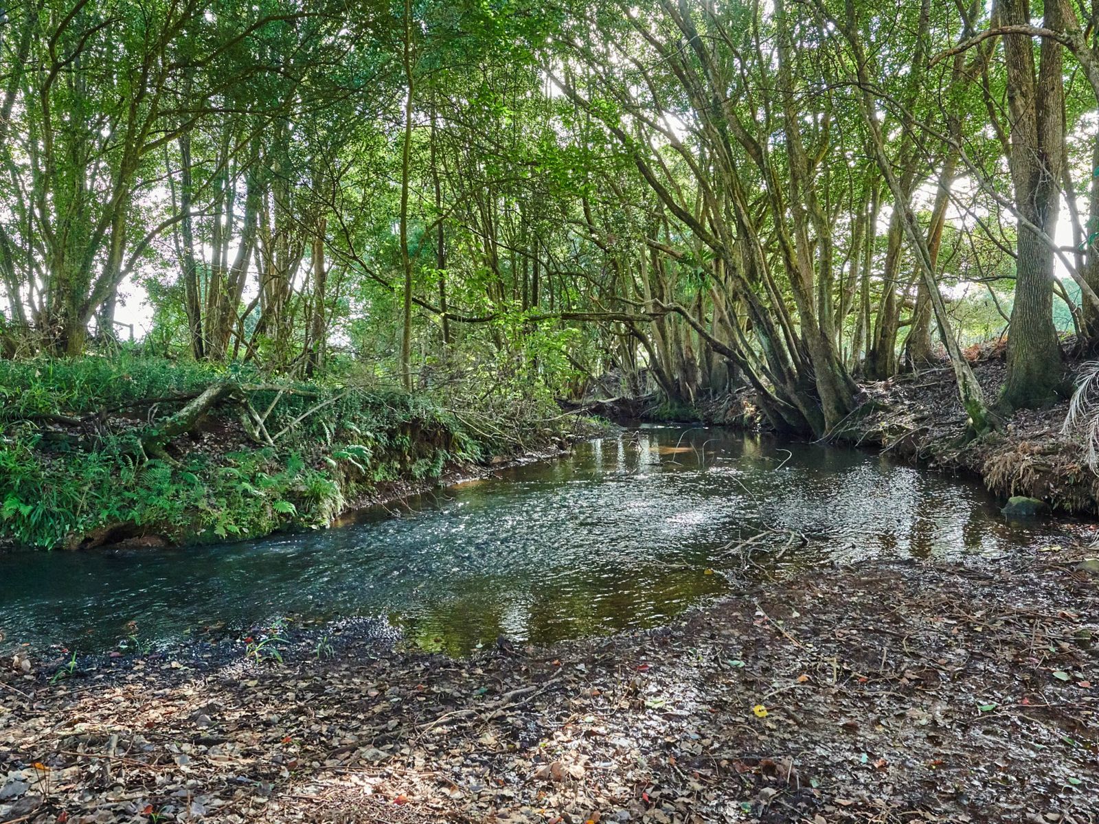 853 Bangalow Rd, Talofa - Thumbnail 7