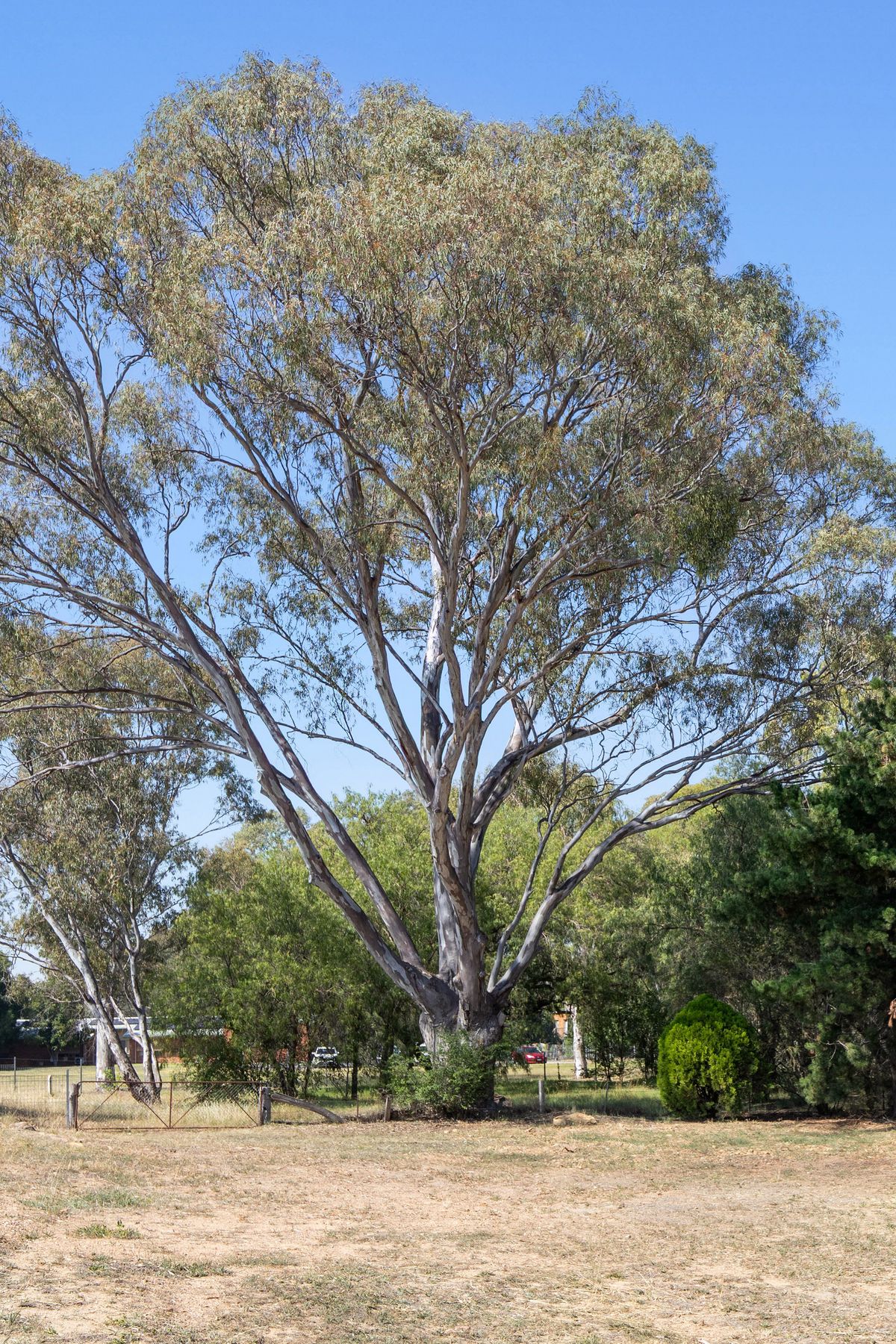 Lot 2, 1-3 Bank Street, Kangaroo Flat VIC 3555, Kangaroo Flat - Thumbnail 7