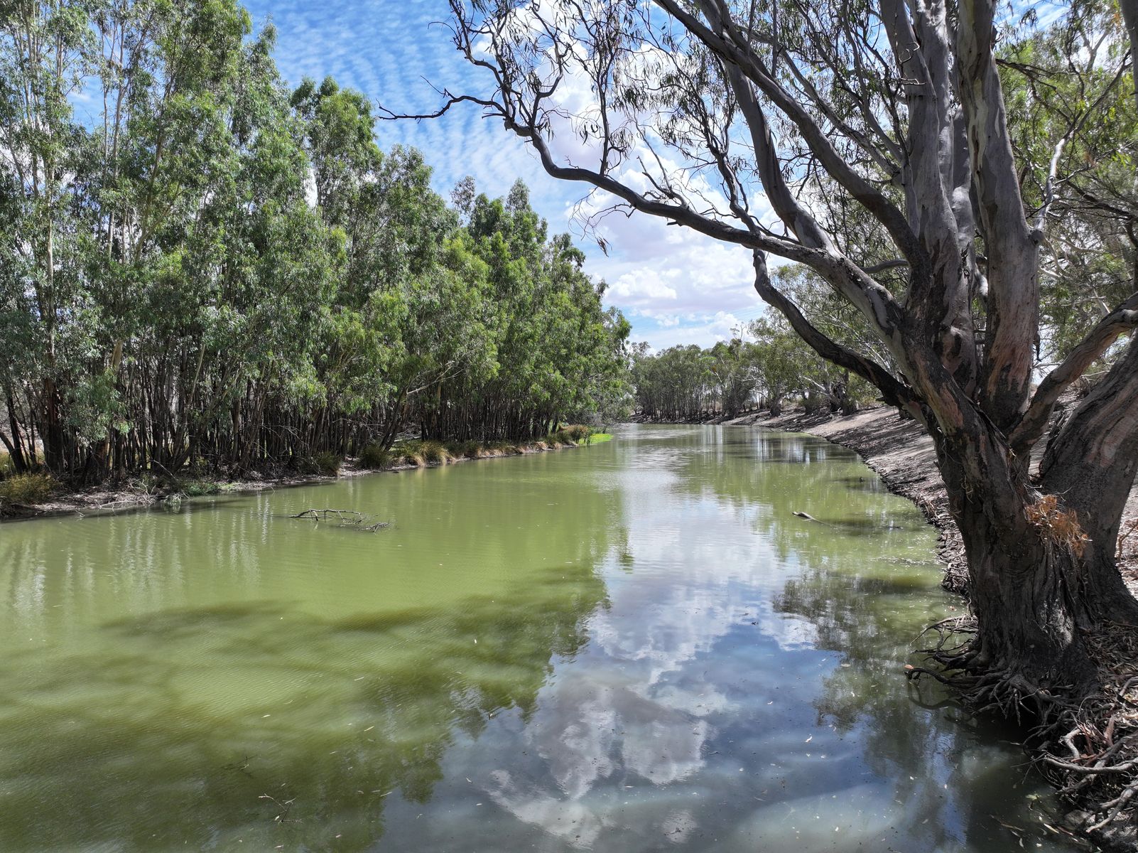 Lot 70 Via Renmark Road, Wentworth - Thumbnail 2