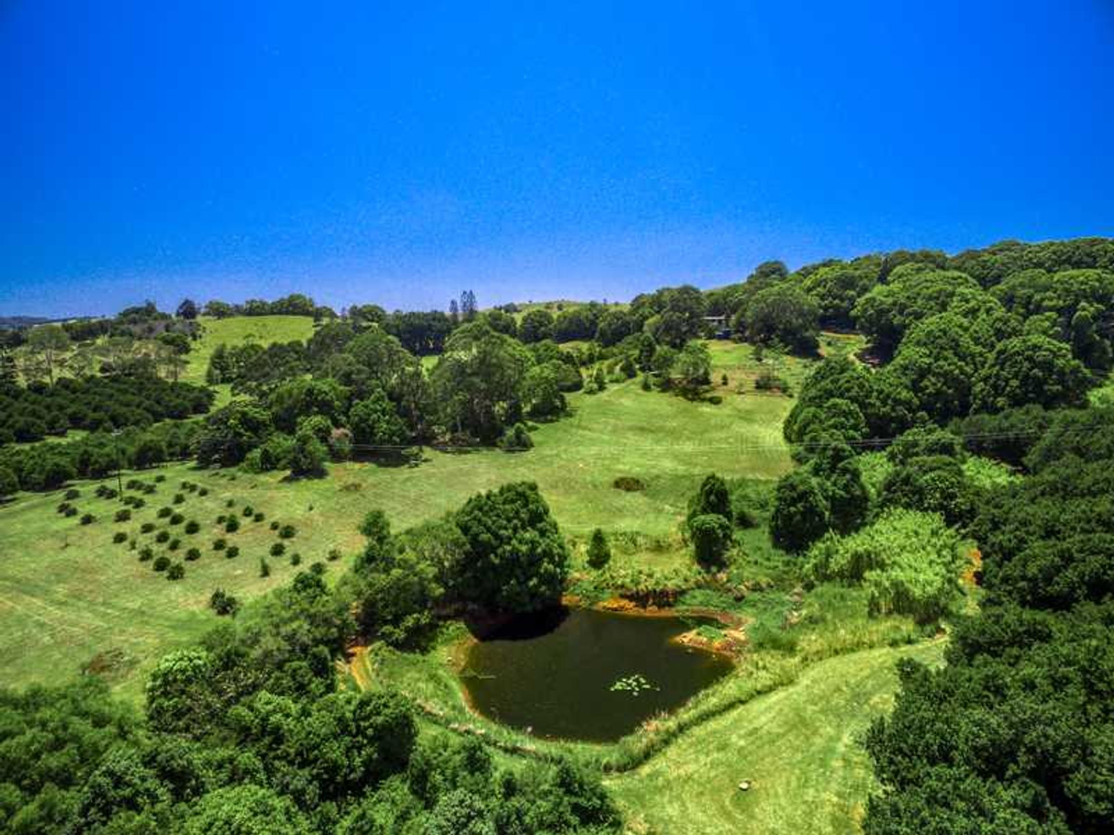 1049 Hinterland Way, Bangalow - Thumbnail 8