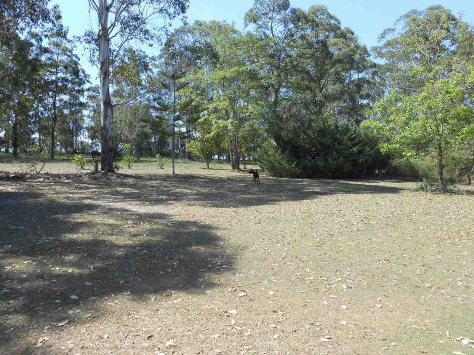 555 Myall Creek Rd, Coraki - Thumbnail 5