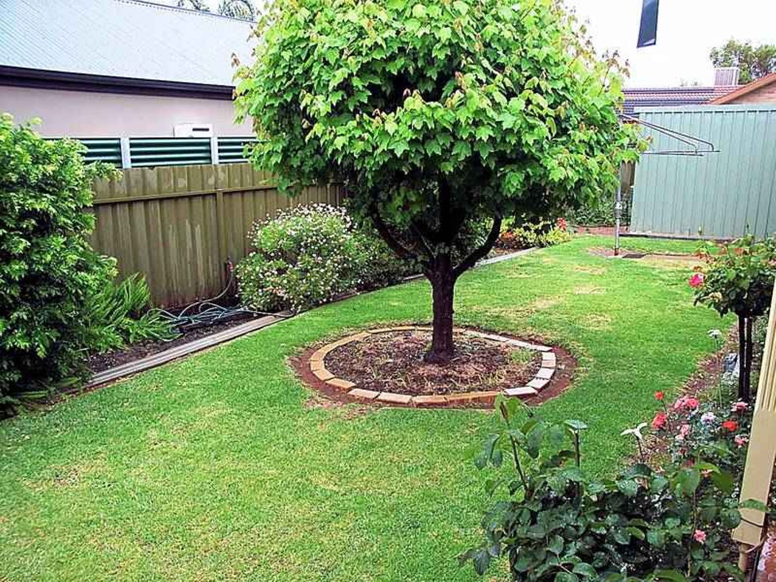 378 Walnut Avenue, Mildura - Thumbnail 4