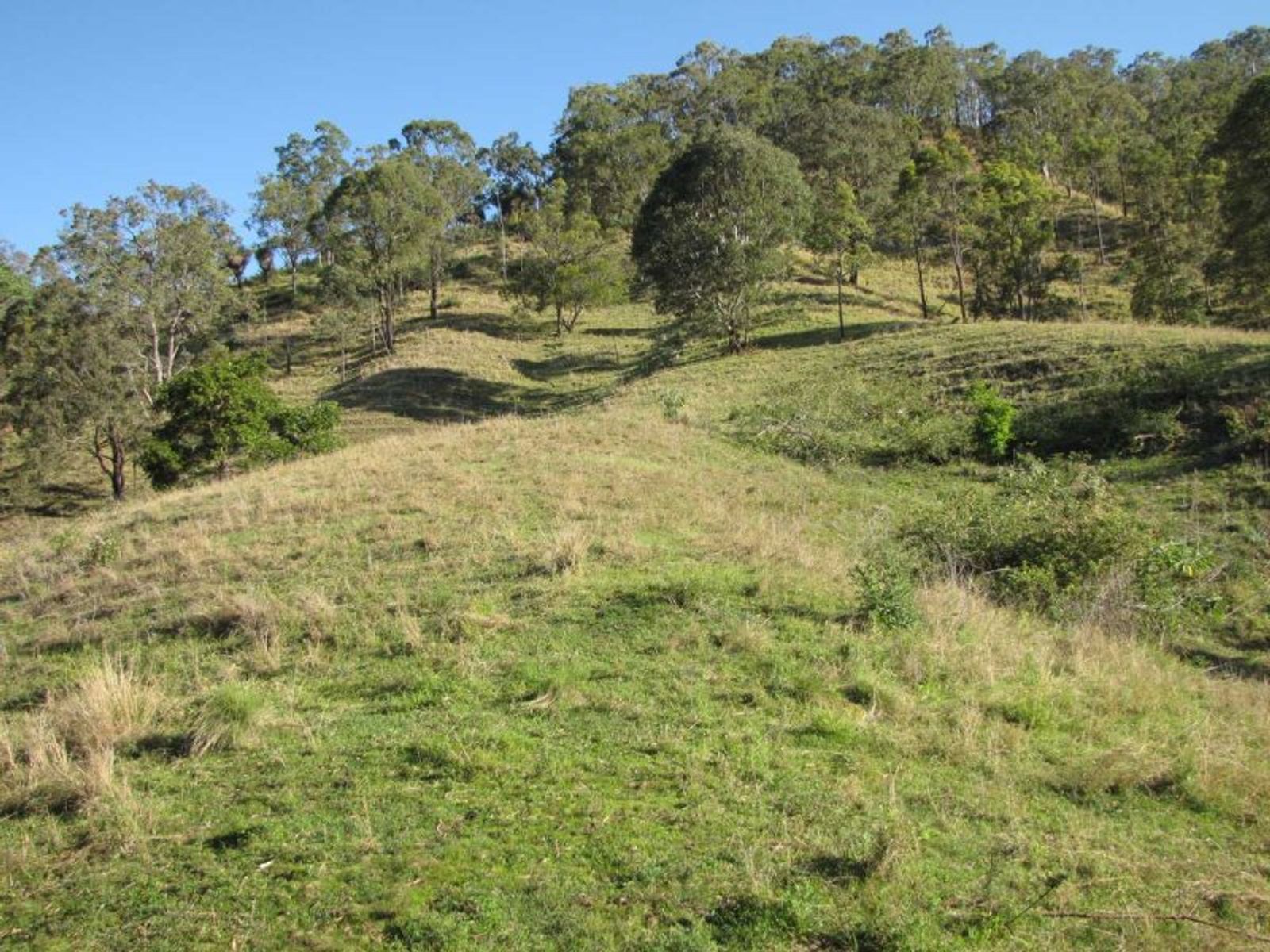Muller Roseberry Creek Road, Roseberry Creek - Thumbnail 7