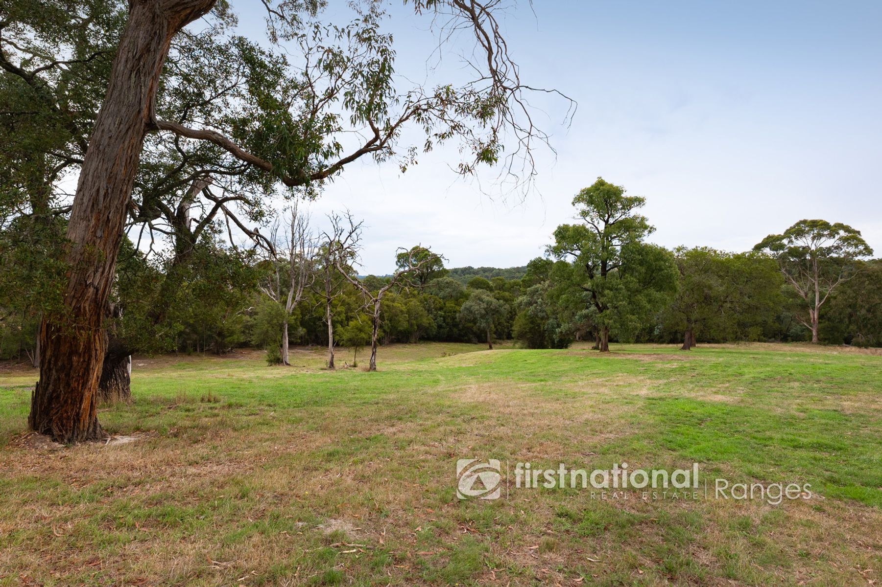 705 Woori Yallock Road, Nangana VIC 3781, Nangana - Thumbnail 4