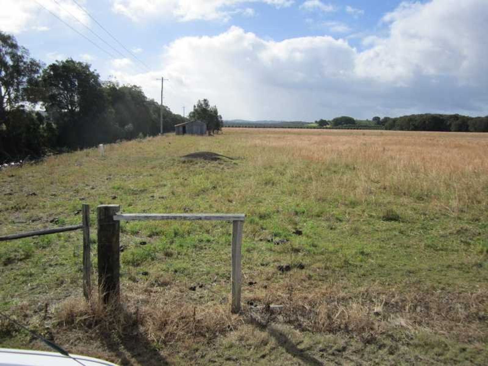 Lot 4 DP1034816 Newrybar Swamp Road, Lennox Head - Thumbnail 8