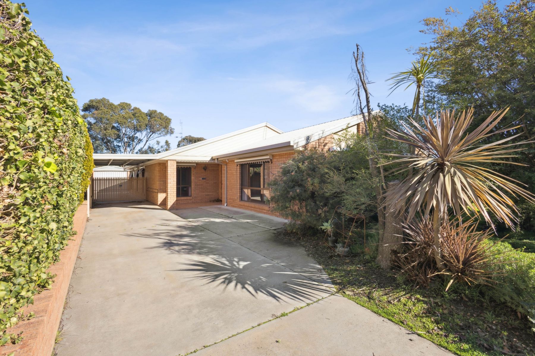6 Mayfield Parade, Strathdale, VIC 3550, Strathdale - Thumbnail 2