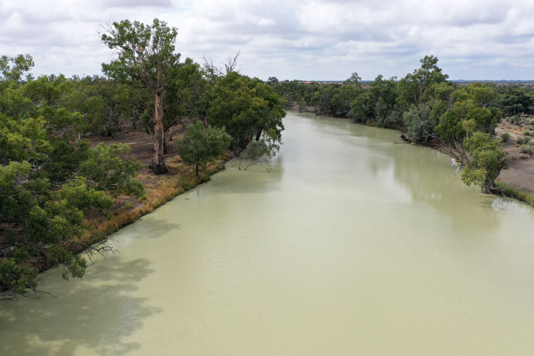 Lot 21 Darling River Estate, Pomona Road, Wentworth NSW 2648, Pomona Road - Thumbnail 4
