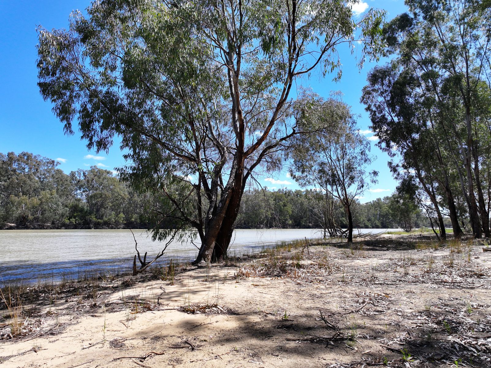 Lot 14 Renmark Road, Wentworth - Thumbnail 4
