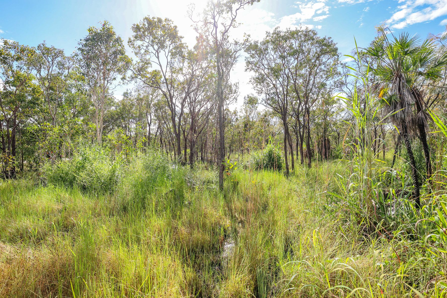 1666 Leonino Road, Darwin River NT 0841, Darwin River - Thumbnail 3