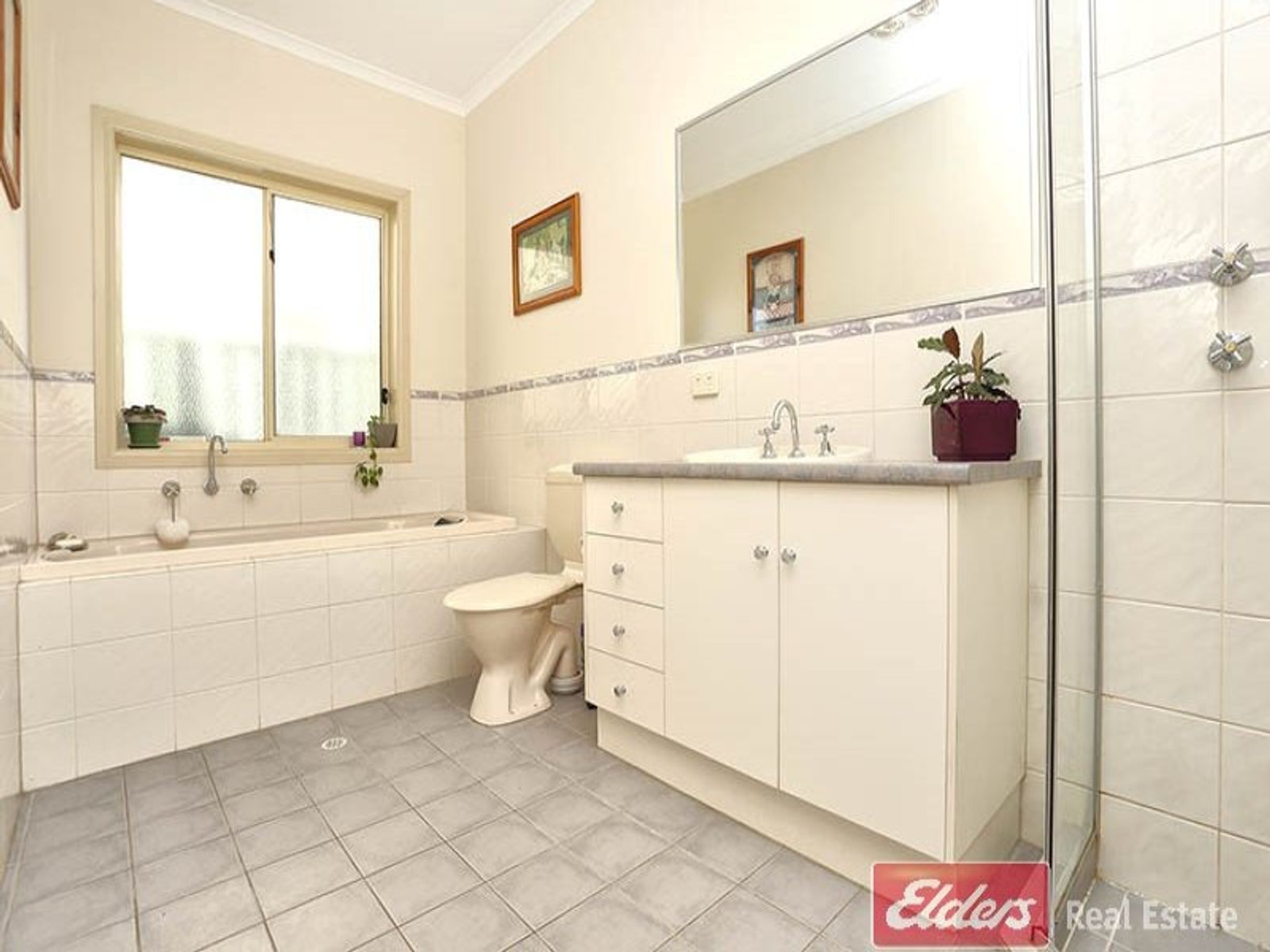 8 The Mews, Mawson Lakes, SA 5095, Mawson Lakes - Thumbnail 5