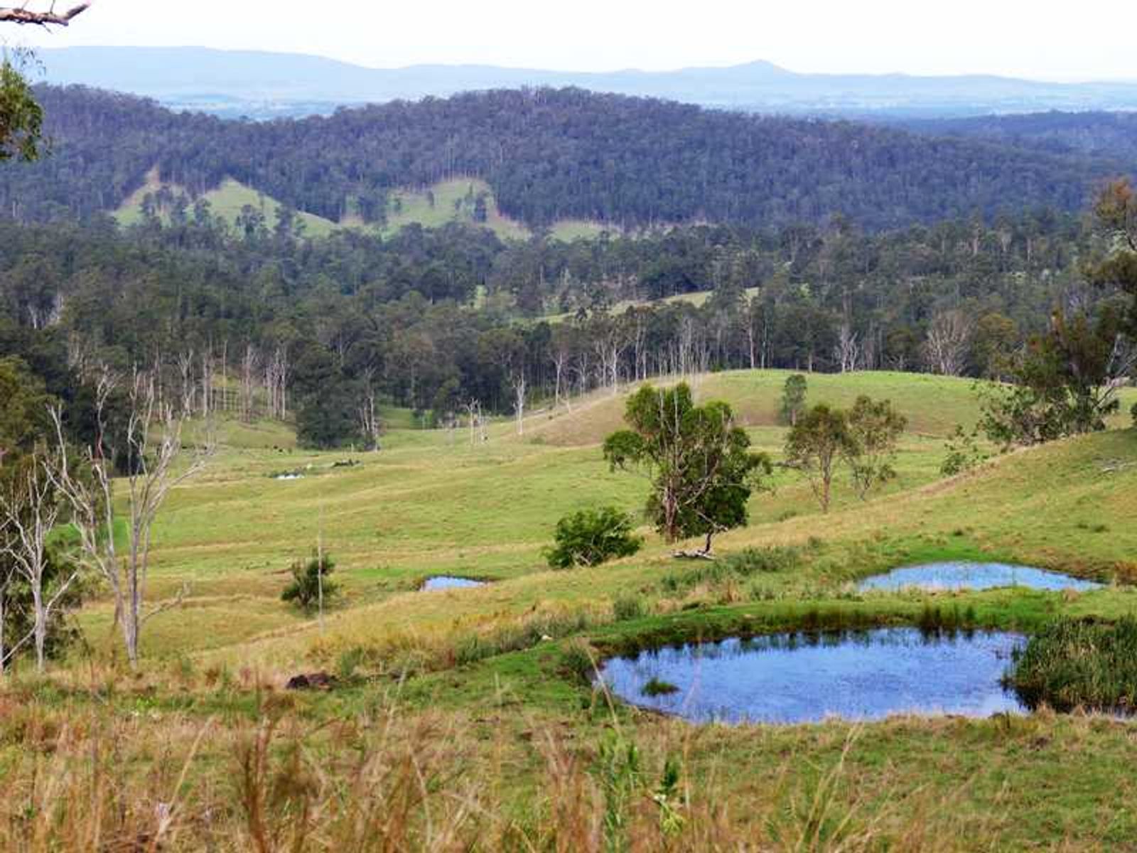 Lot 16 Babyl Creek Road, Babyl Creek - Thumbnail 6
