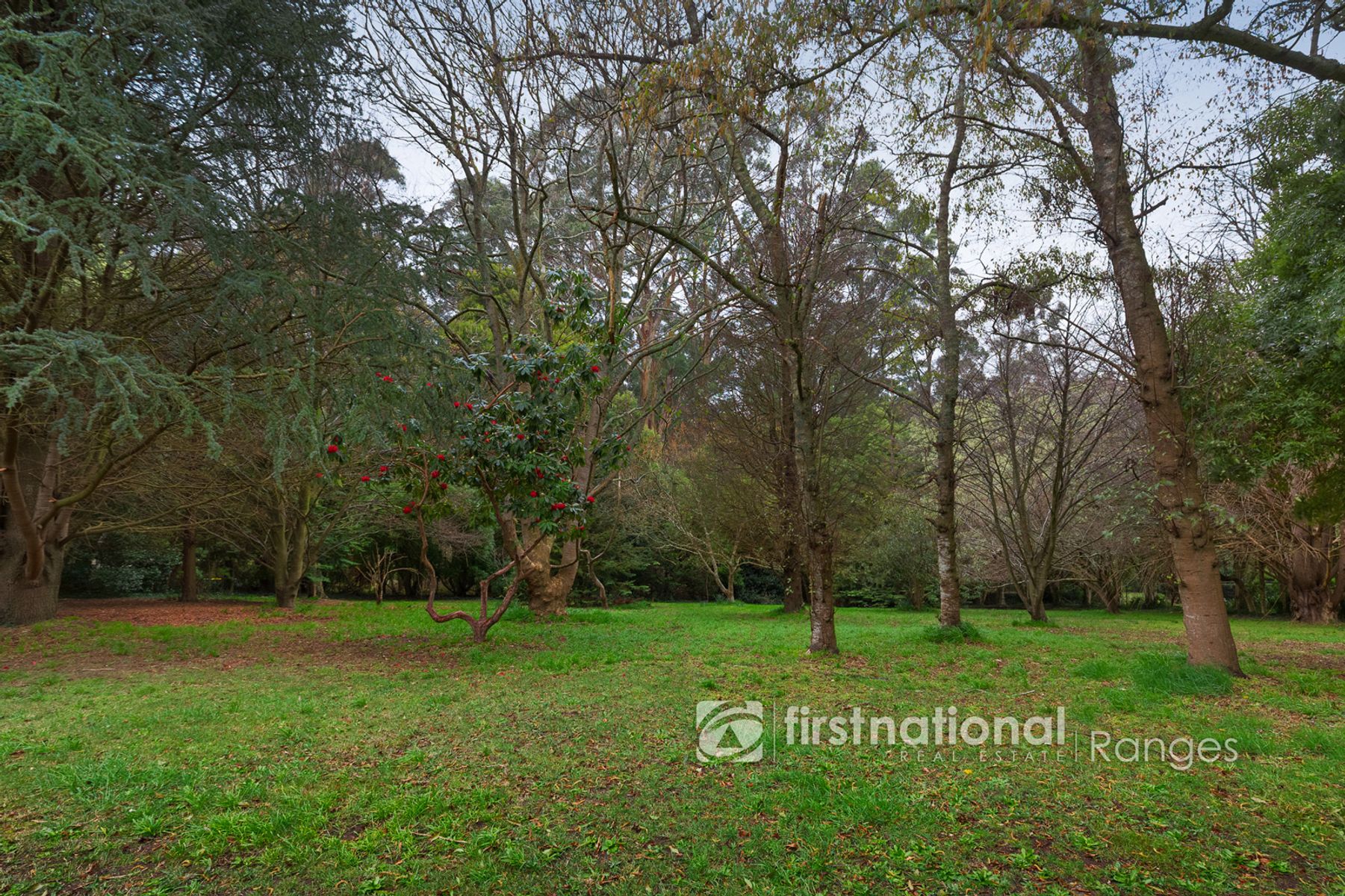 1445 Mount Dandenong Tourist Road, Olinda VIC 3788, Olinda - Thumbnail 2