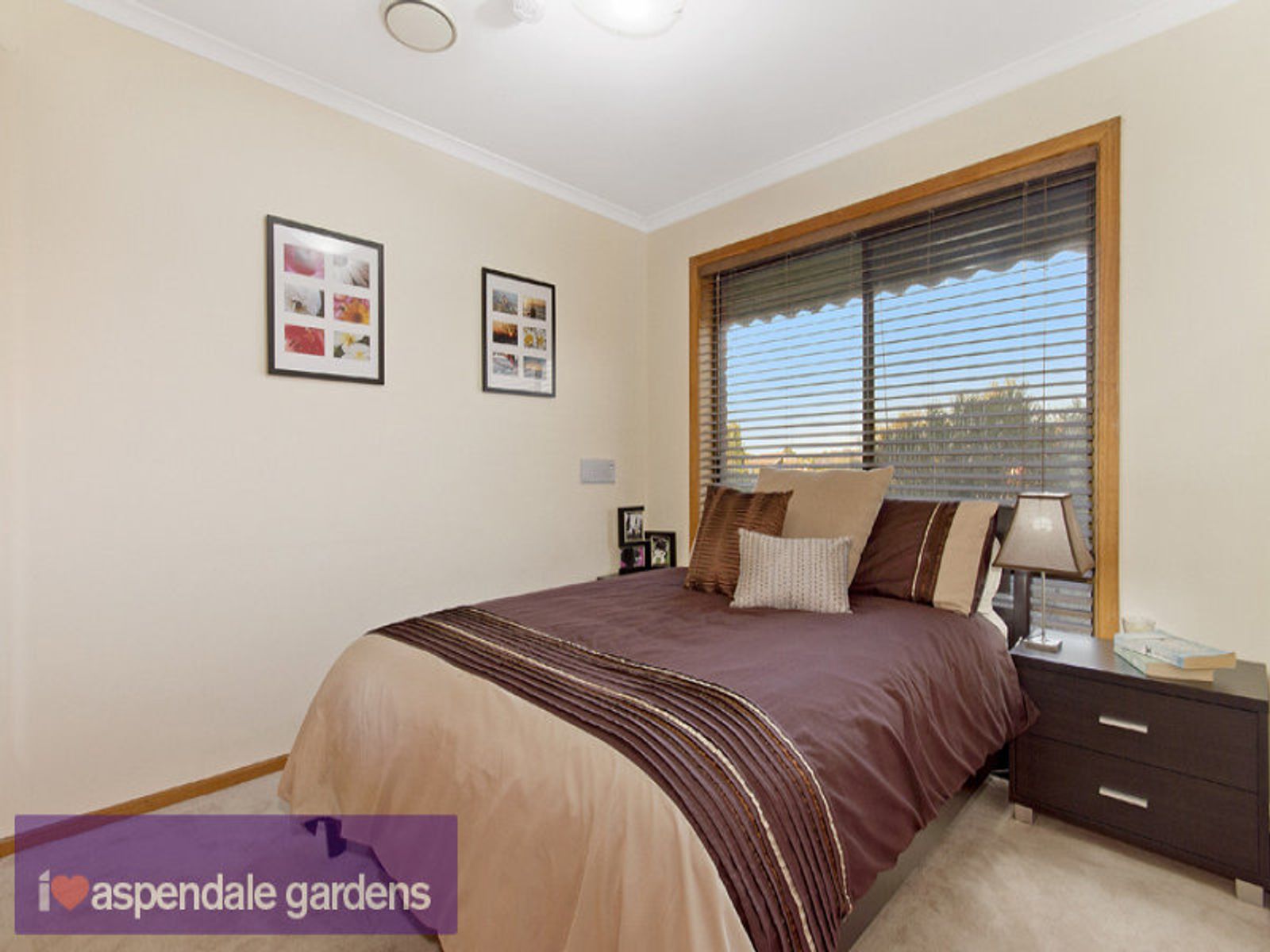 12 Lorna Court, Aspendale Gardens, VIC 3195, Aspendale Gardens - Thumbnail 6