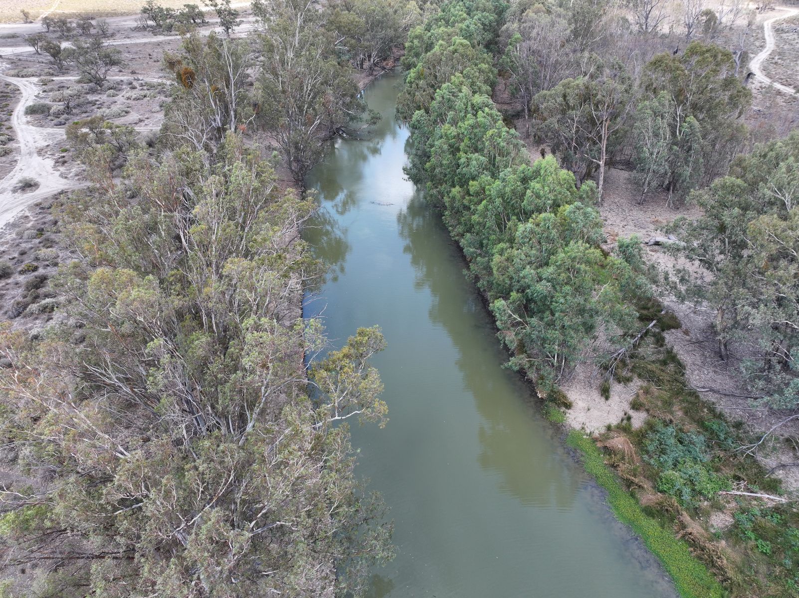 Lot 70 Via Renmark Road, Wentworth - Thumbnail 6