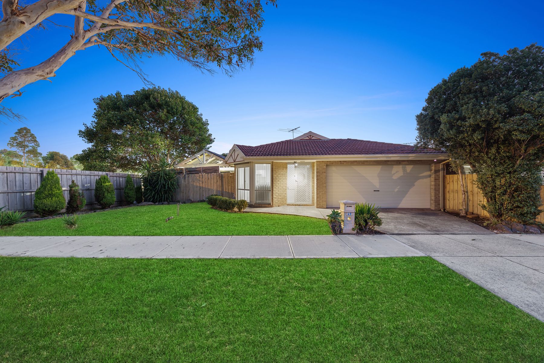 49 Summerlea Road, Narre Warren, VIC 3805, Narre Warren - Thumbnail 2