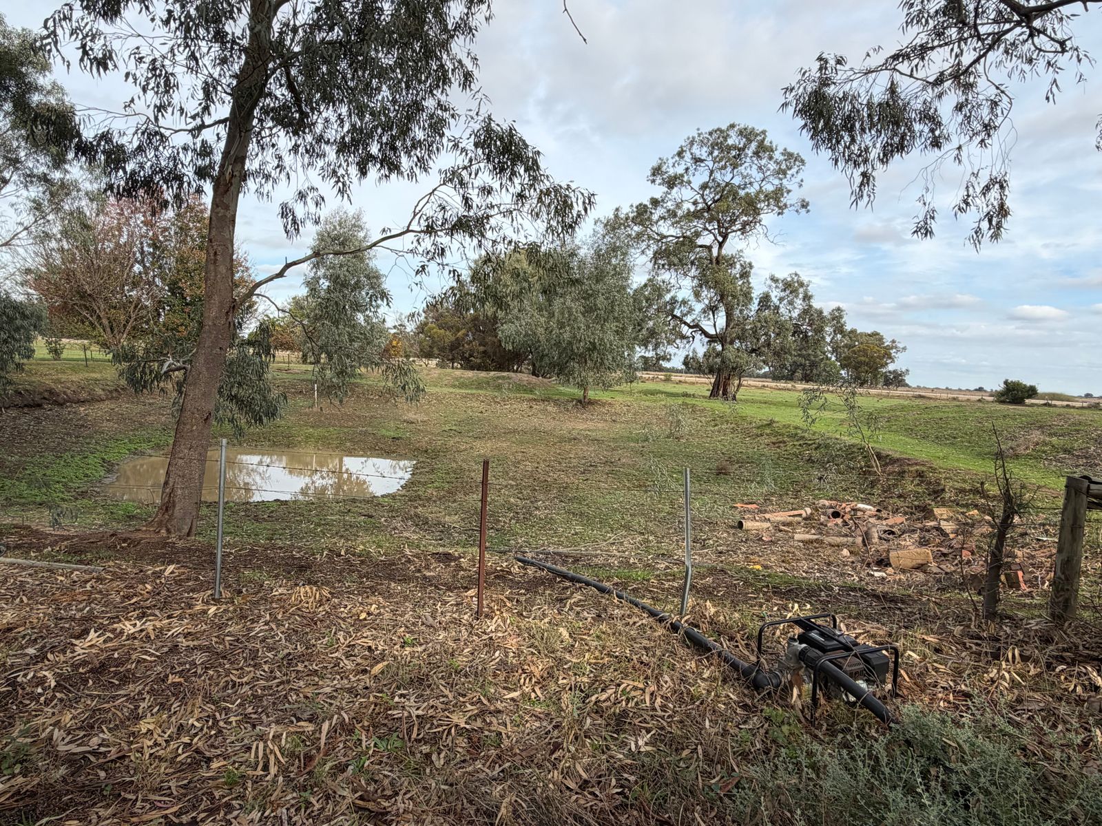 6230 Wakool Road, Wakool NSW 2710, Wakool - Thumbnail 6