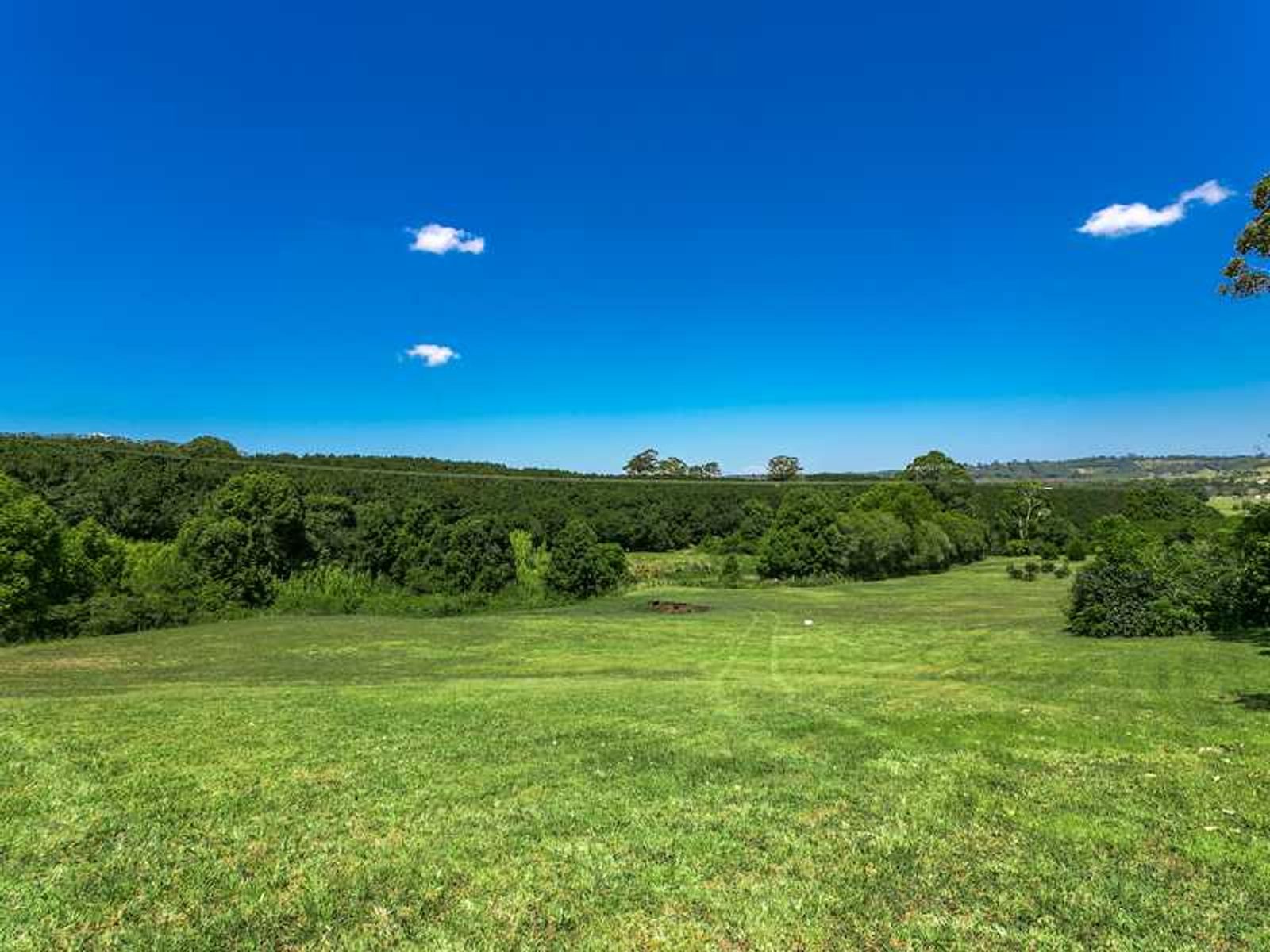 1049 Hinterland Way, Bangalow - Thumbnail 7