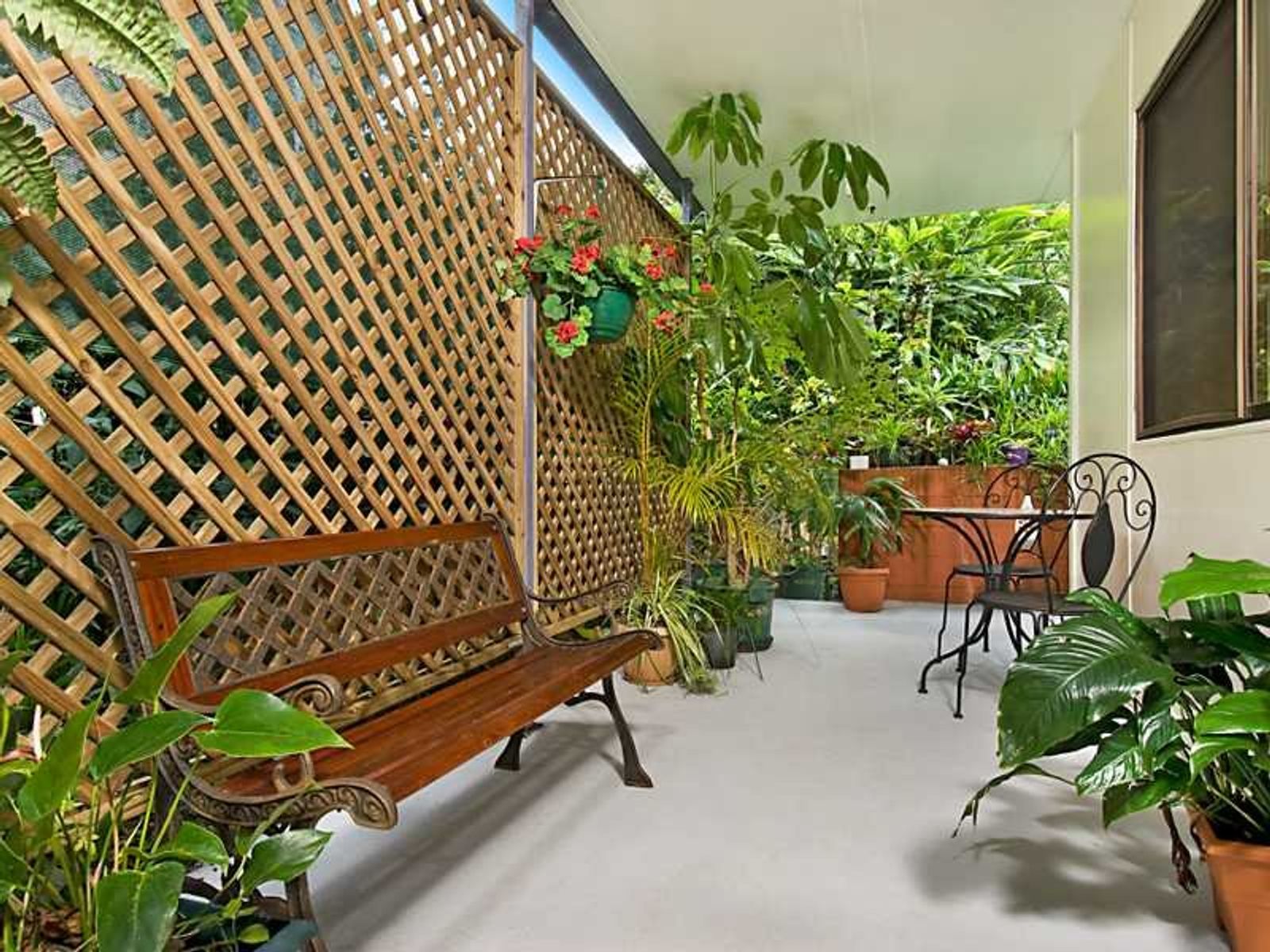 13 Campbell Street, Bangalow - Thumbnail 6