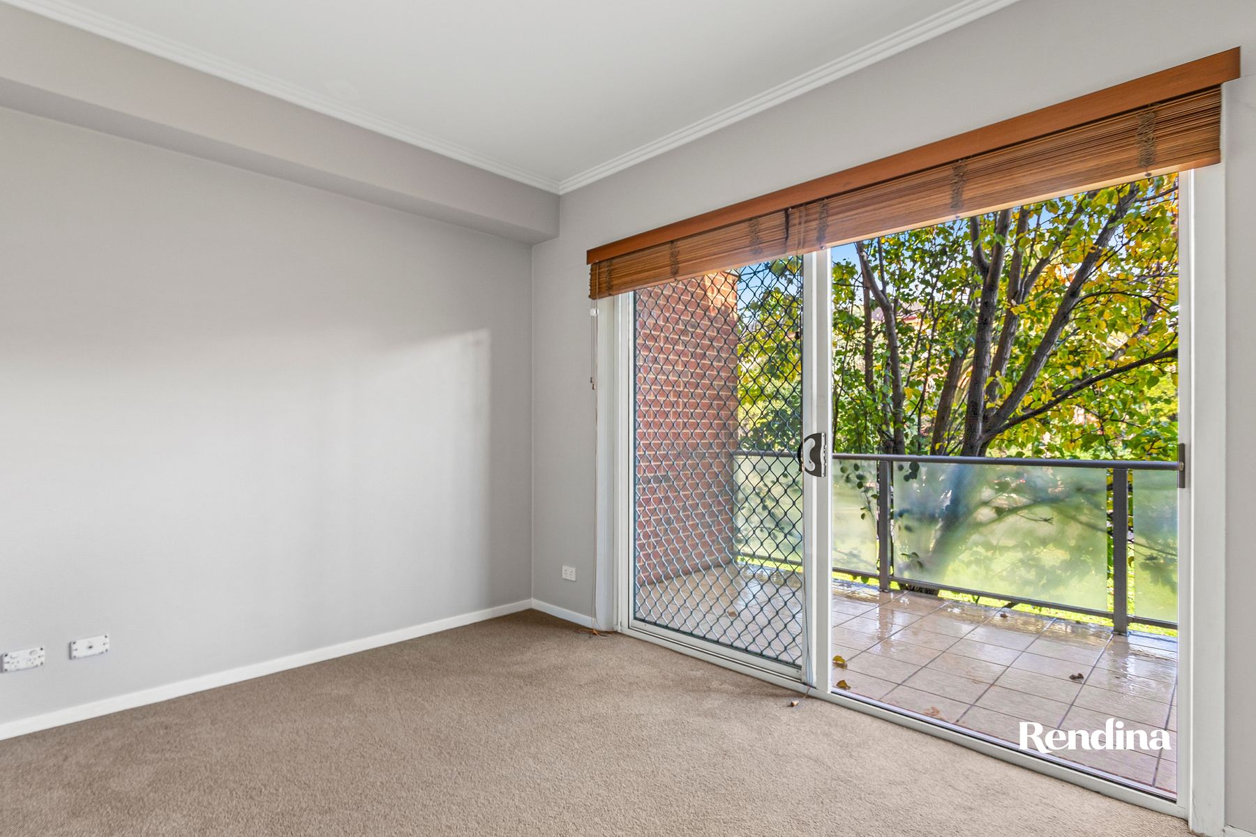 4/2 Newmarket Way, Flemington - Thumbnail 3