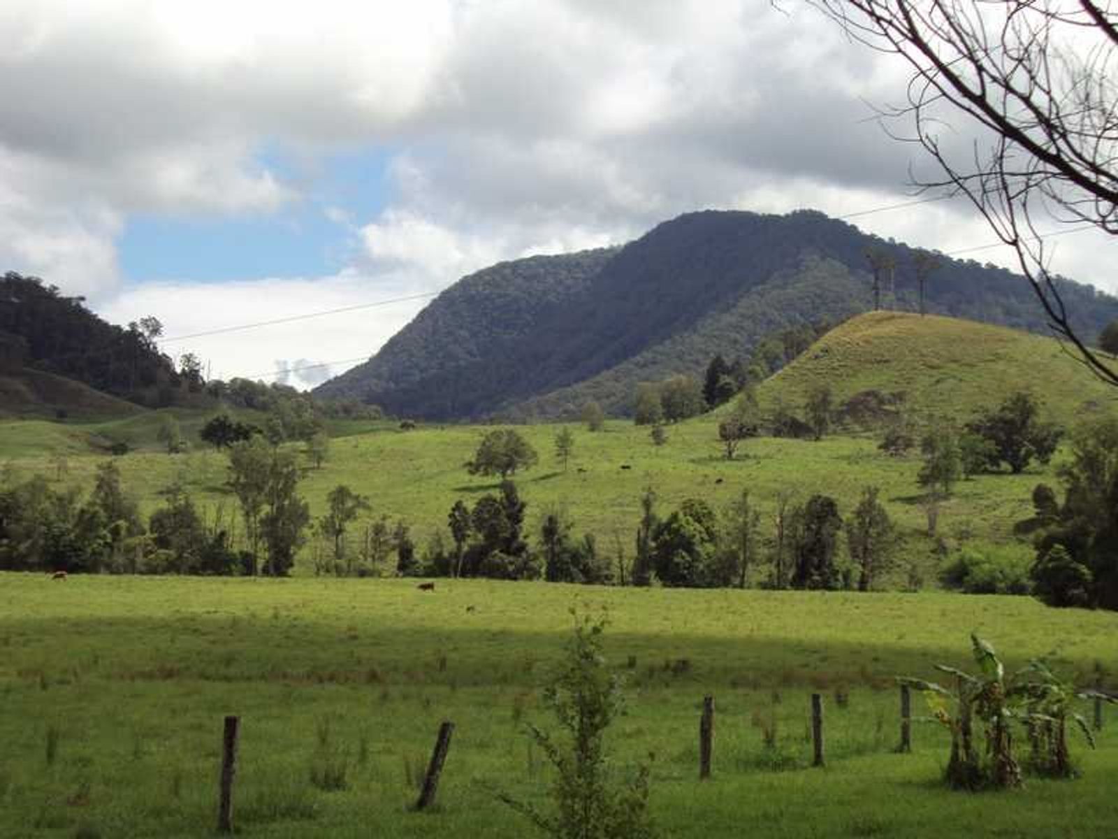 162 Blue Knob Road, Nimbin - Thumbnail 6