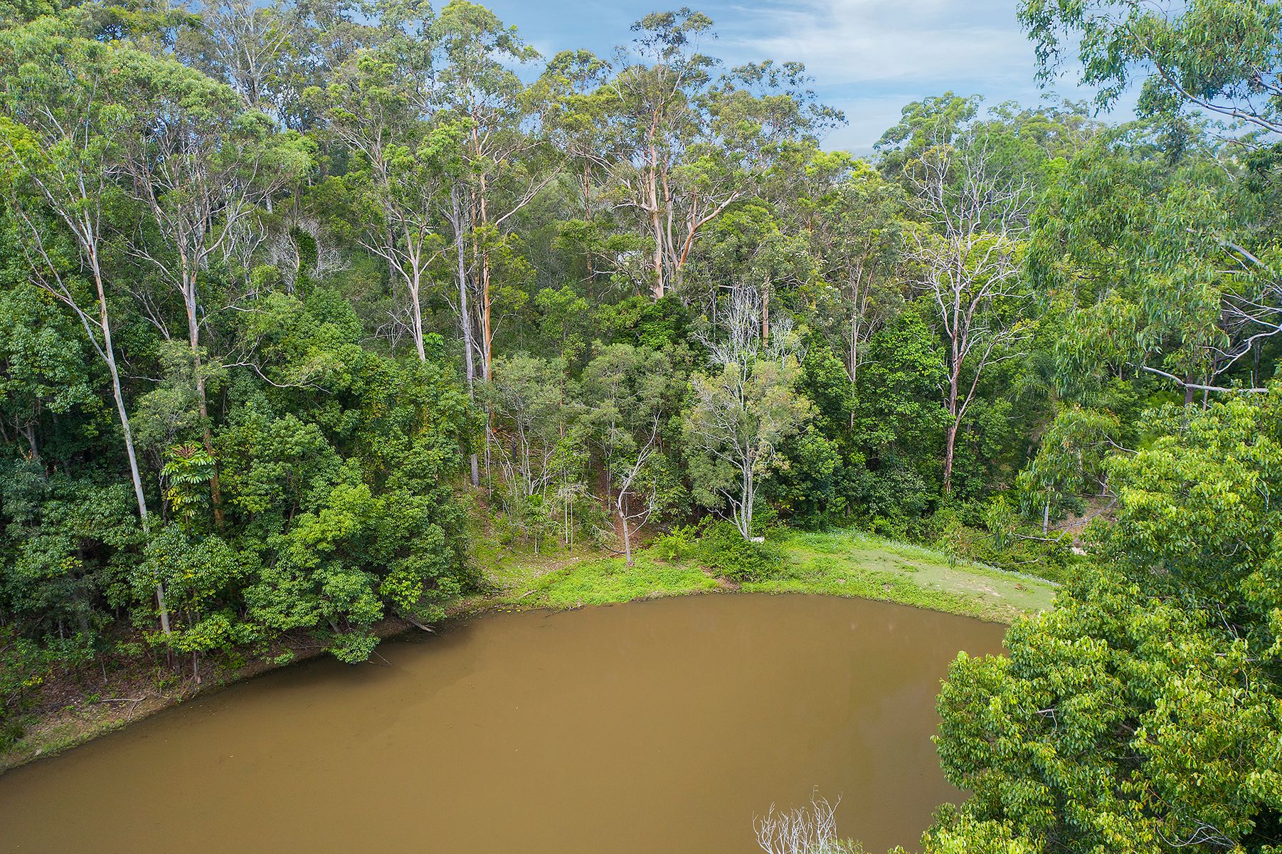57 Stuckey Close, Willow Vale, QLD 4209, Willow Vale - Thumbnail 7