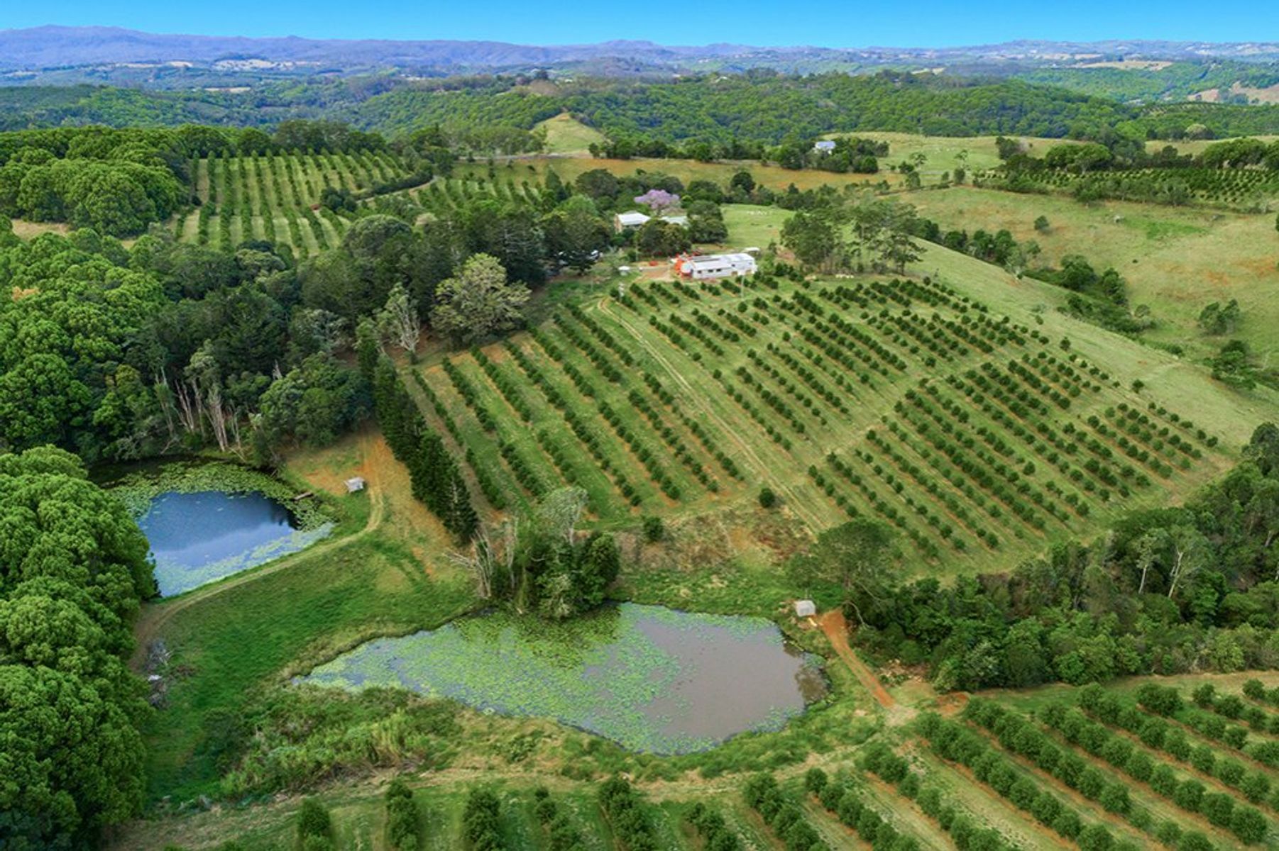 153 Hunters Hill Rd, Numulgi - Thumbnail 4