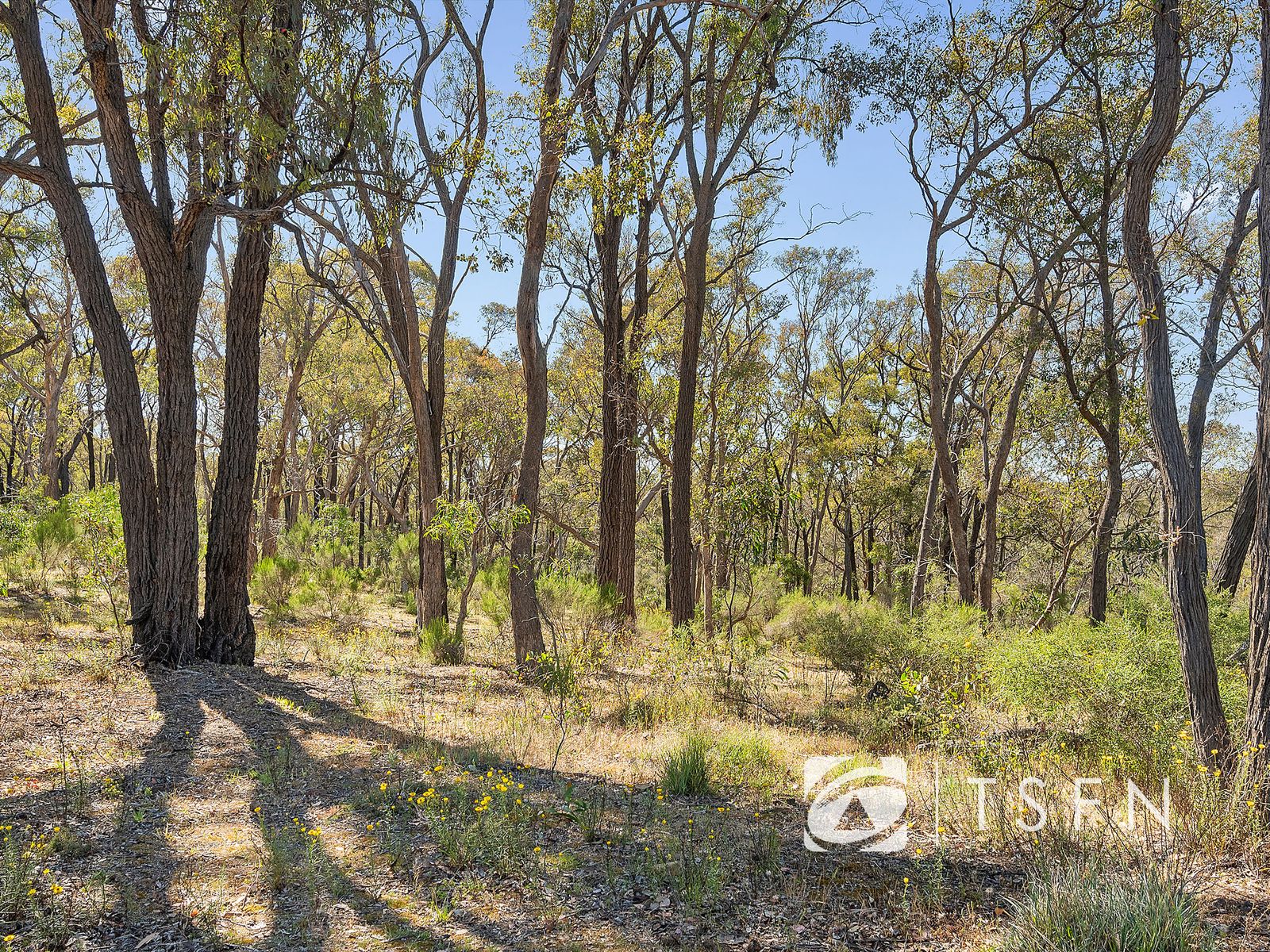 309 Edwards Road, Strathfieldsaye VIC 3551, Strathfieldsaye - Thumbnail 6