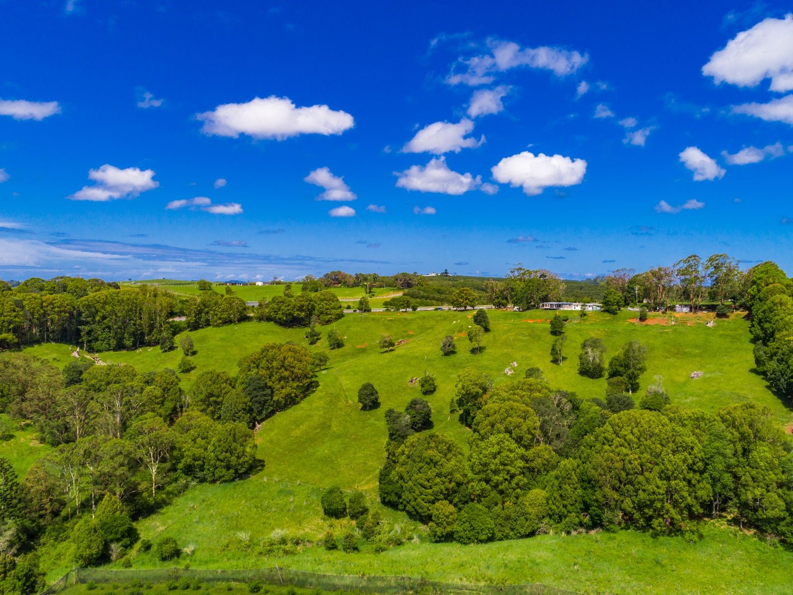 985 Hinterland Way, Bangalow - Thumbnail 6