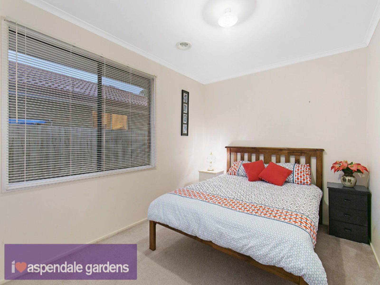 3 Haven Court, Aspendale Gardens, VIC 3195, Aspendale Gardens - Thumbnail 6